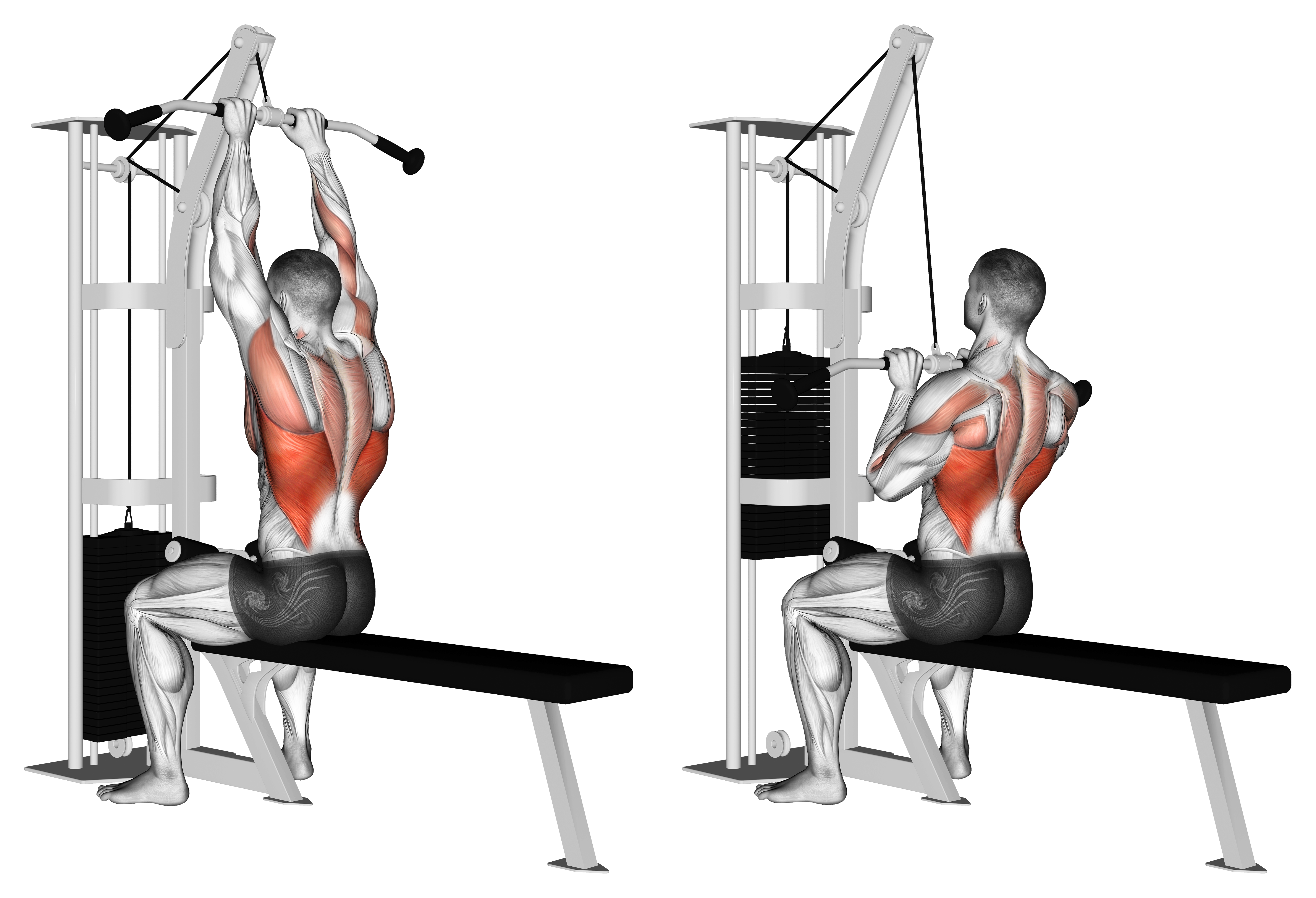 Cable Close Grip Front Lat Pulldown