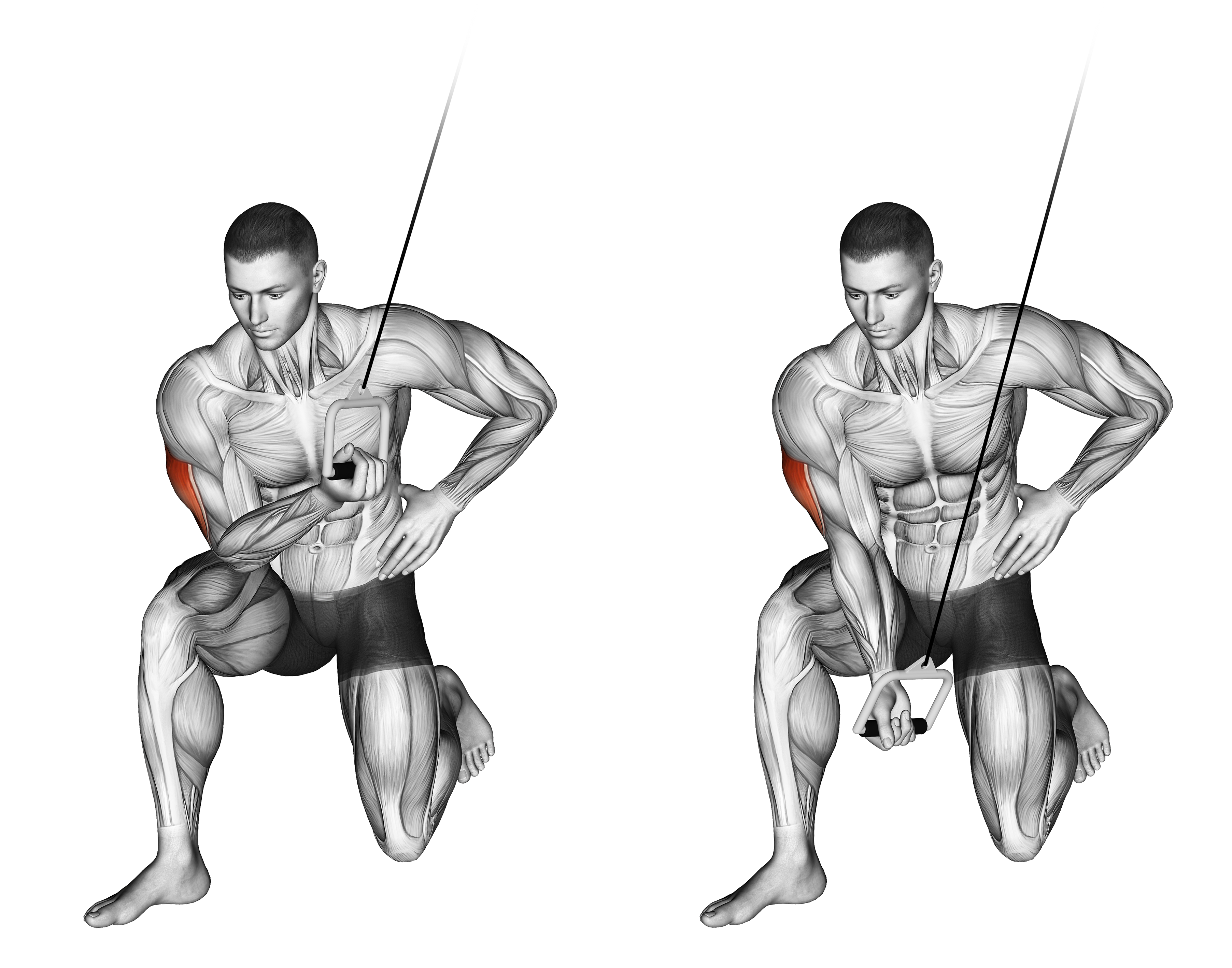 Cable Concentration Extension (on Knee)