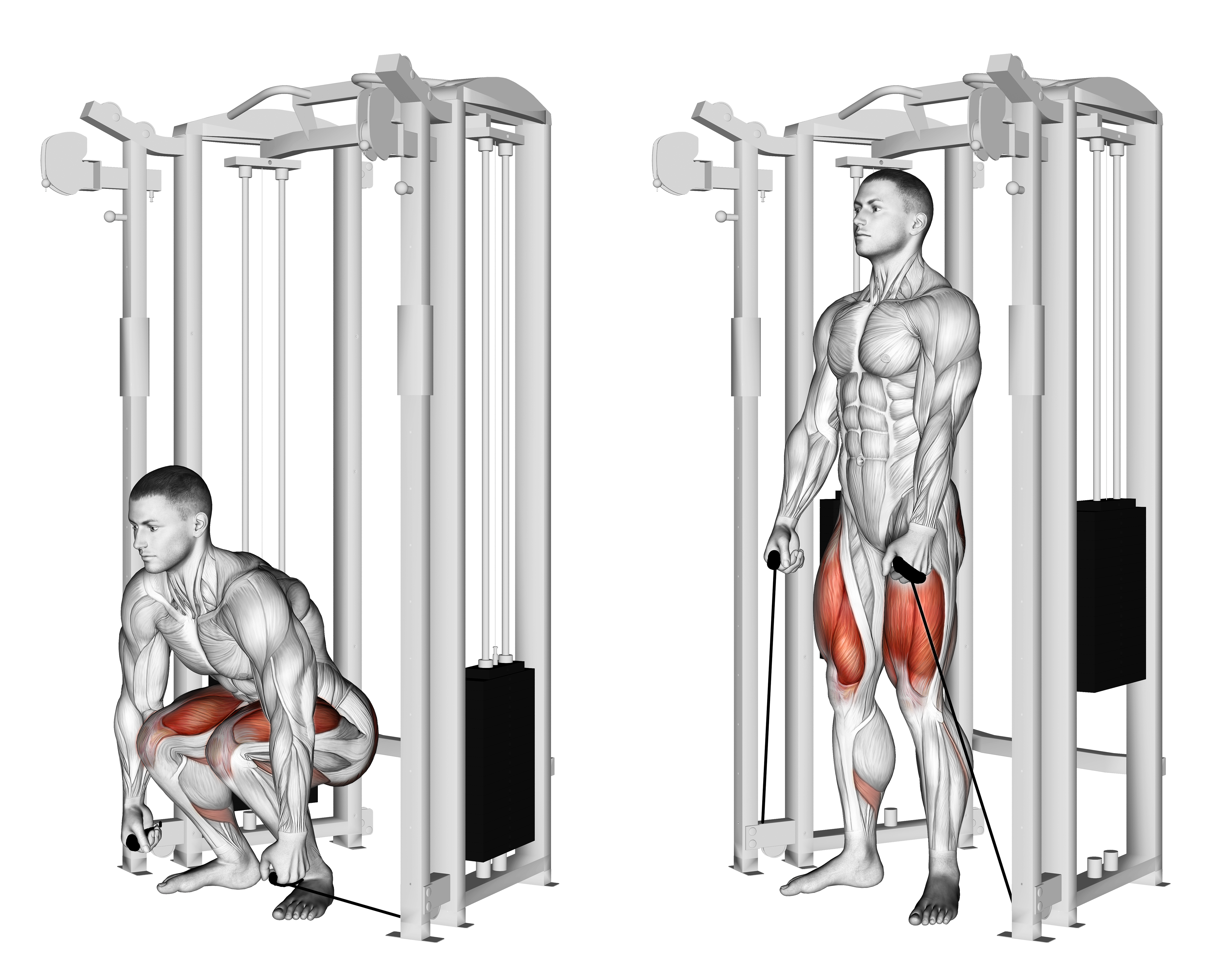 Cable Deadlift