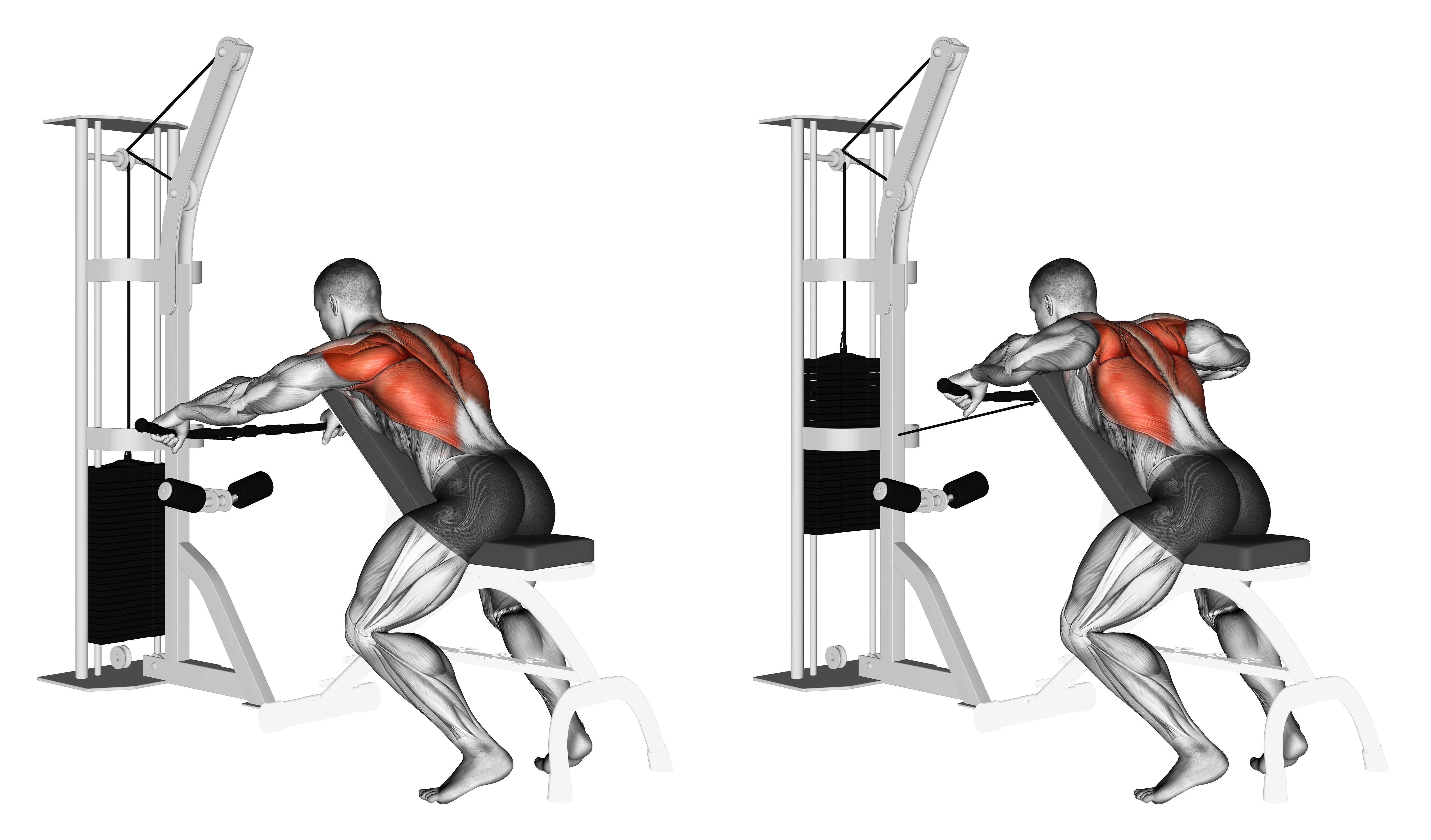 Cable Decline Seated Wide Grip Row