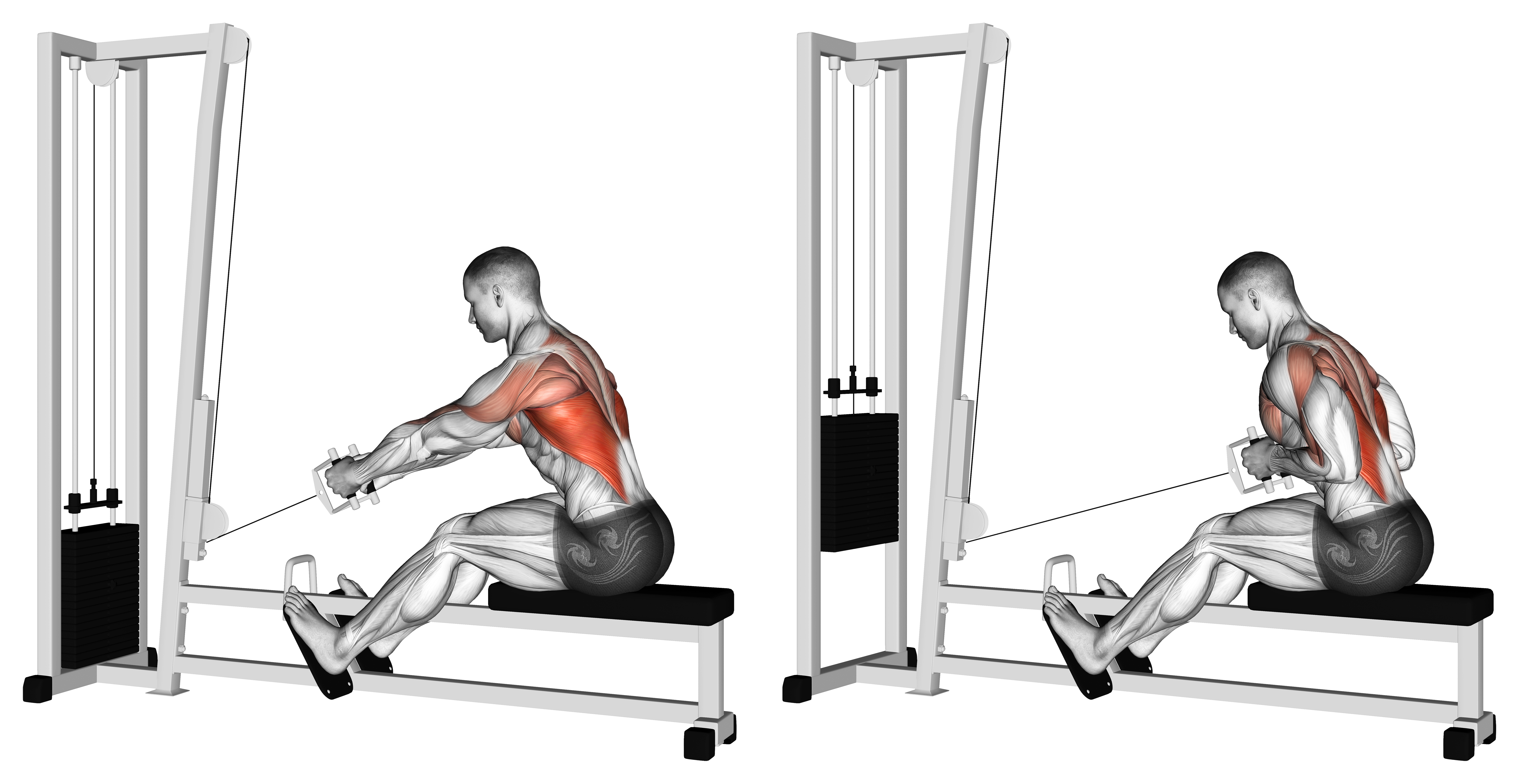 Cable Elevated Row