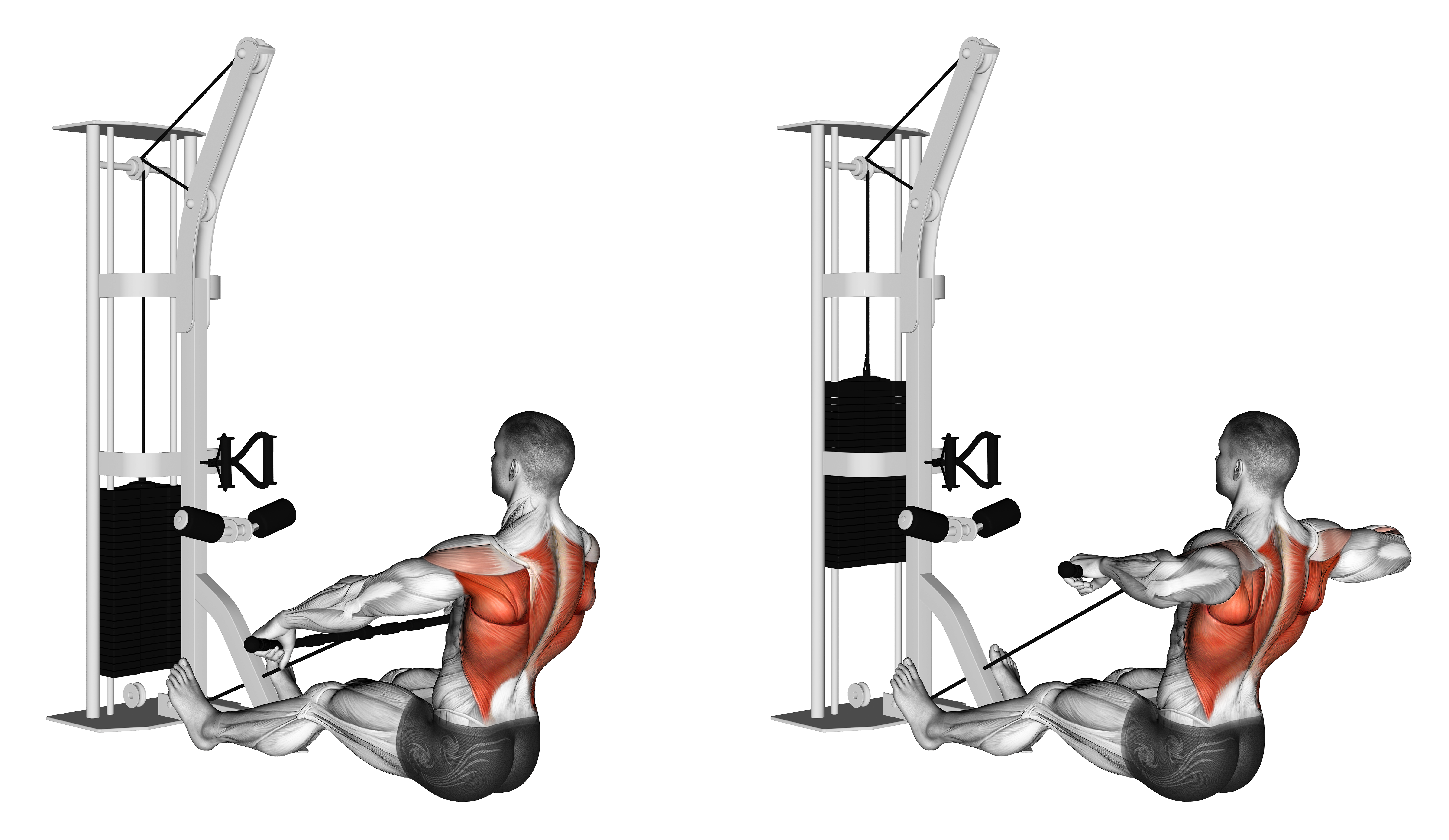 Cable Floor Seated Wide Grip Row