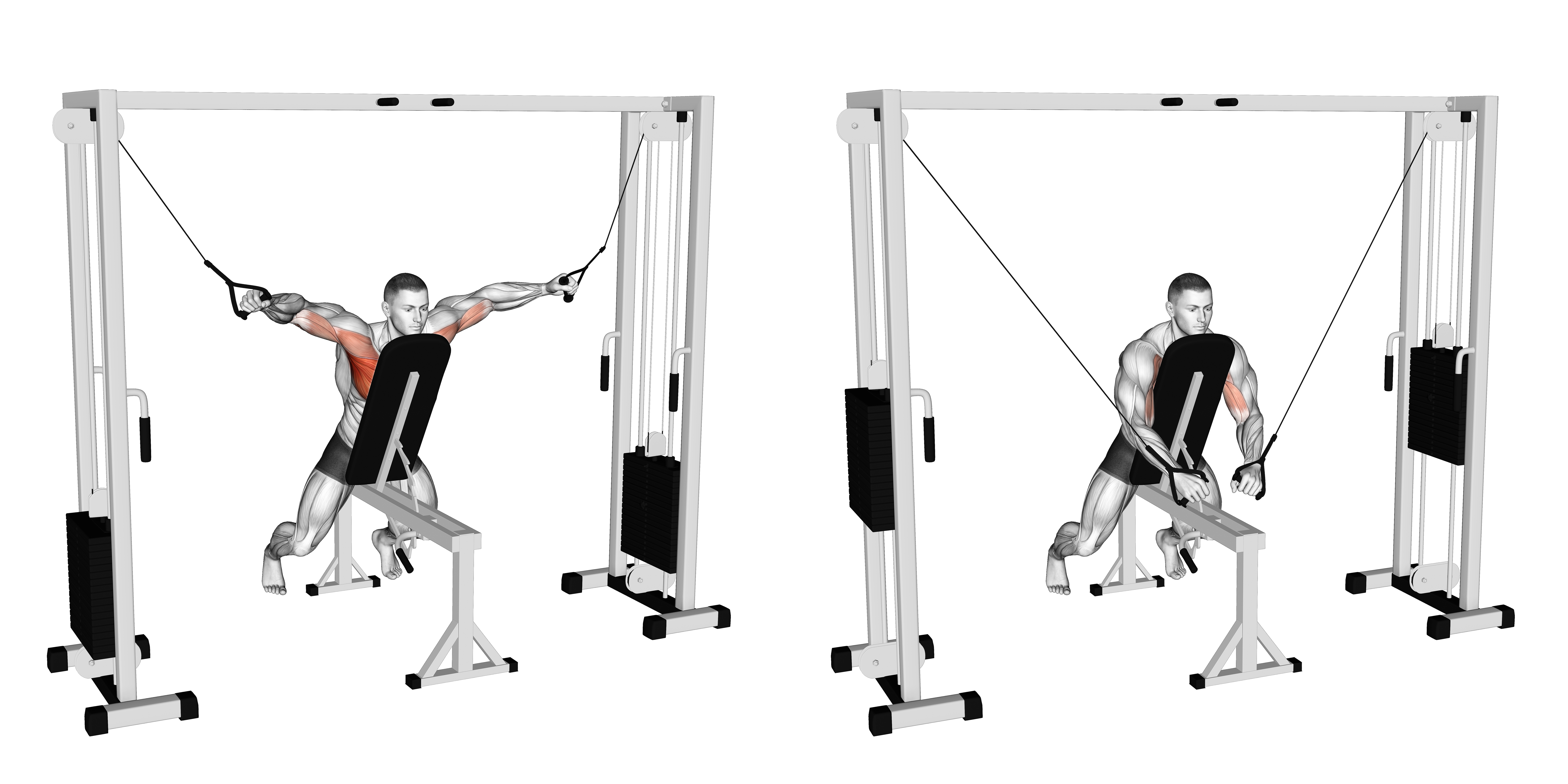 Cable Fly With Chest Supported