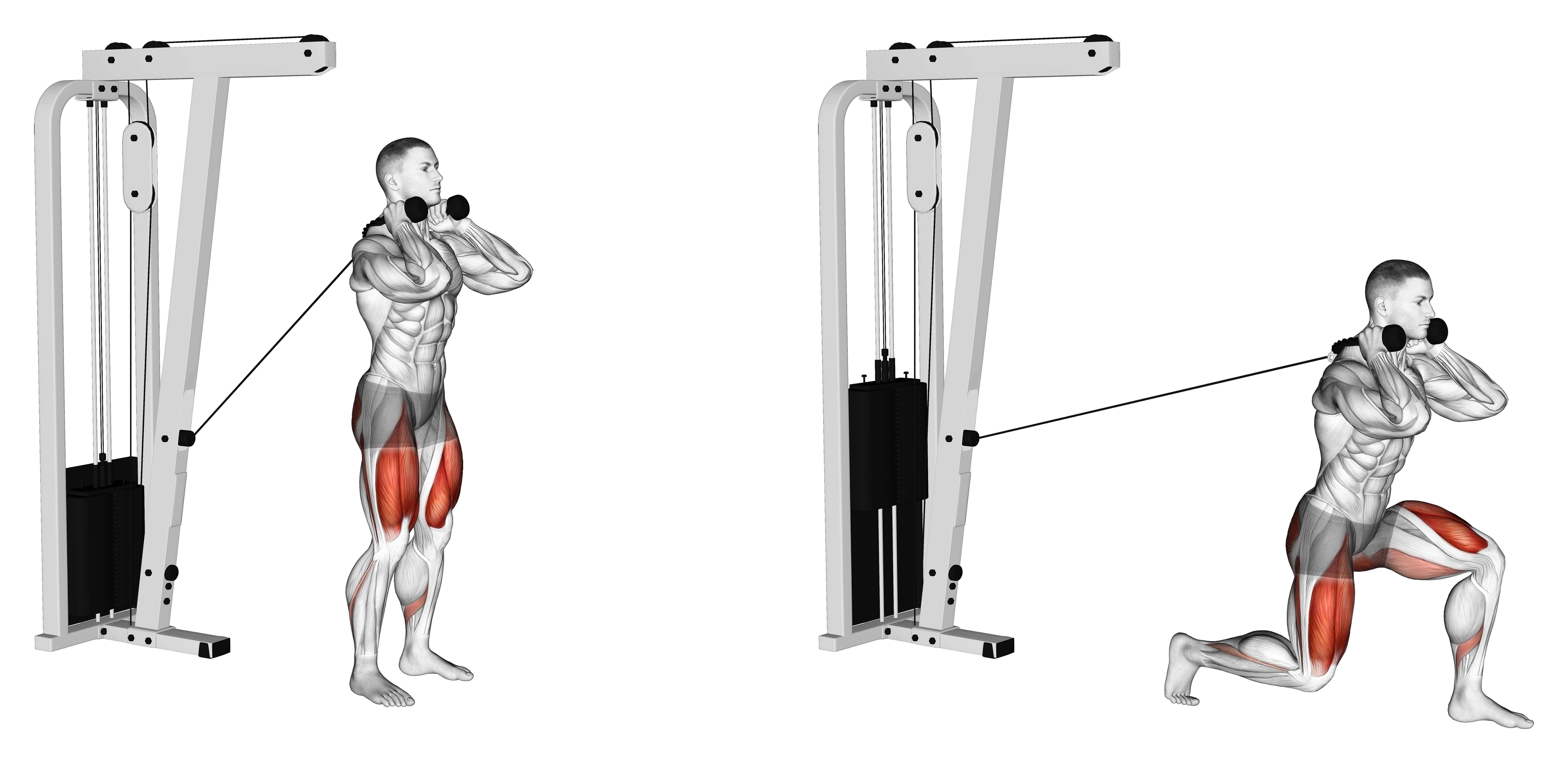 Cable Forward Lunge