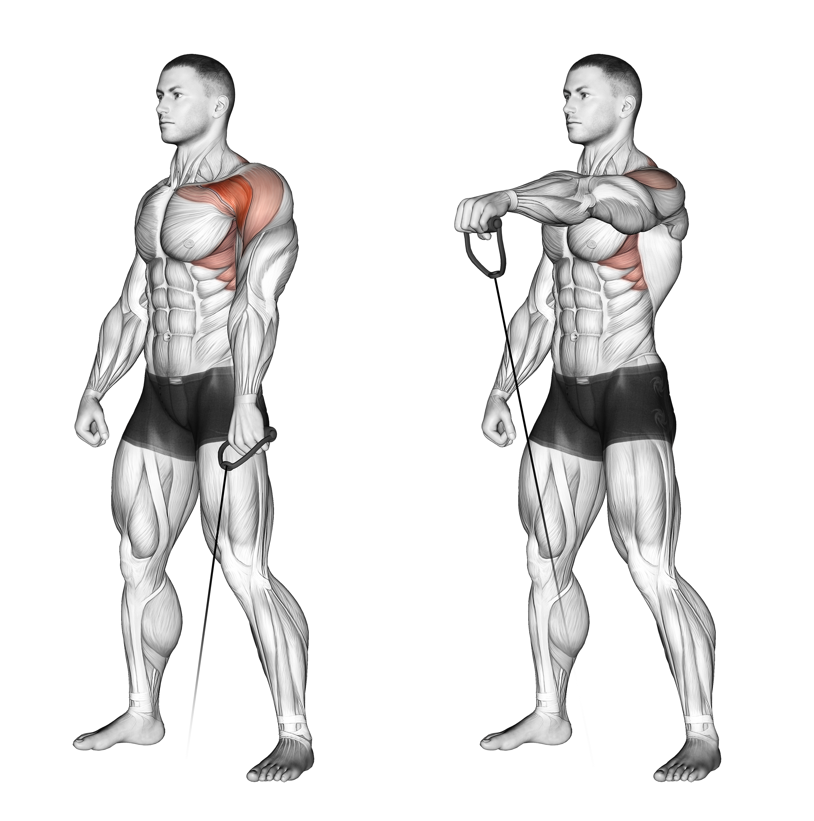 Cable Forward Raise