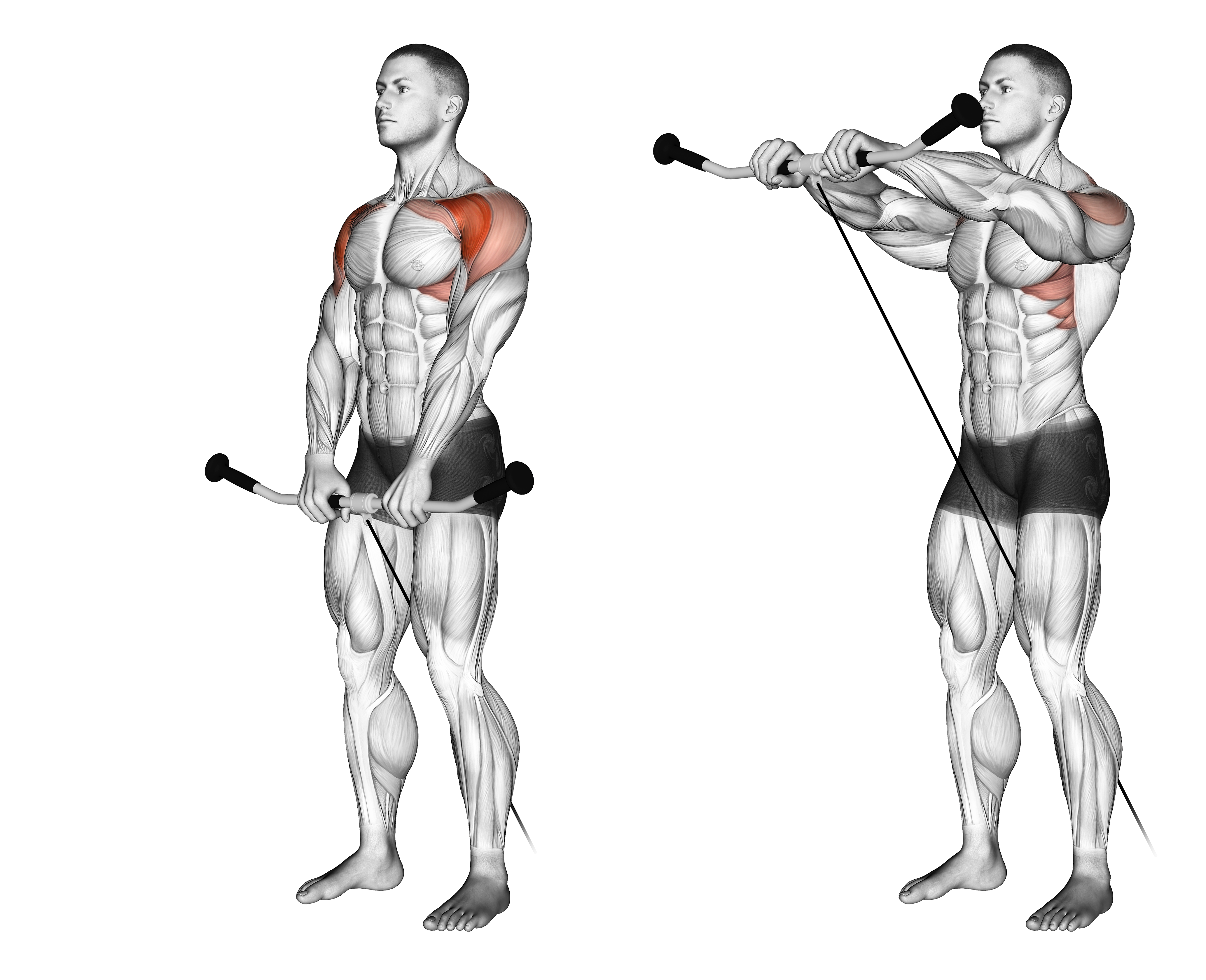 Cable Front Raise