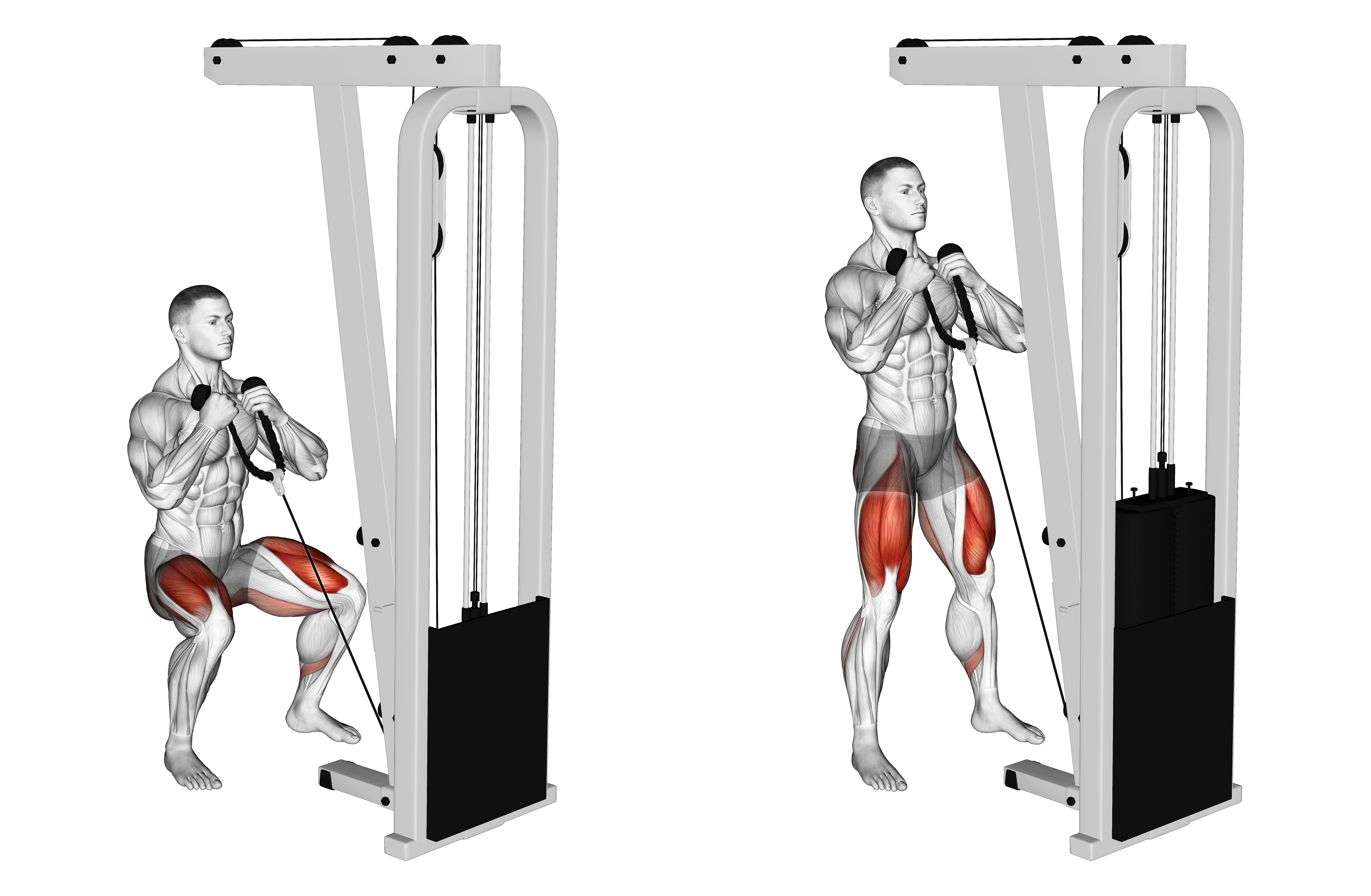 Cable Front Squat (version 2)