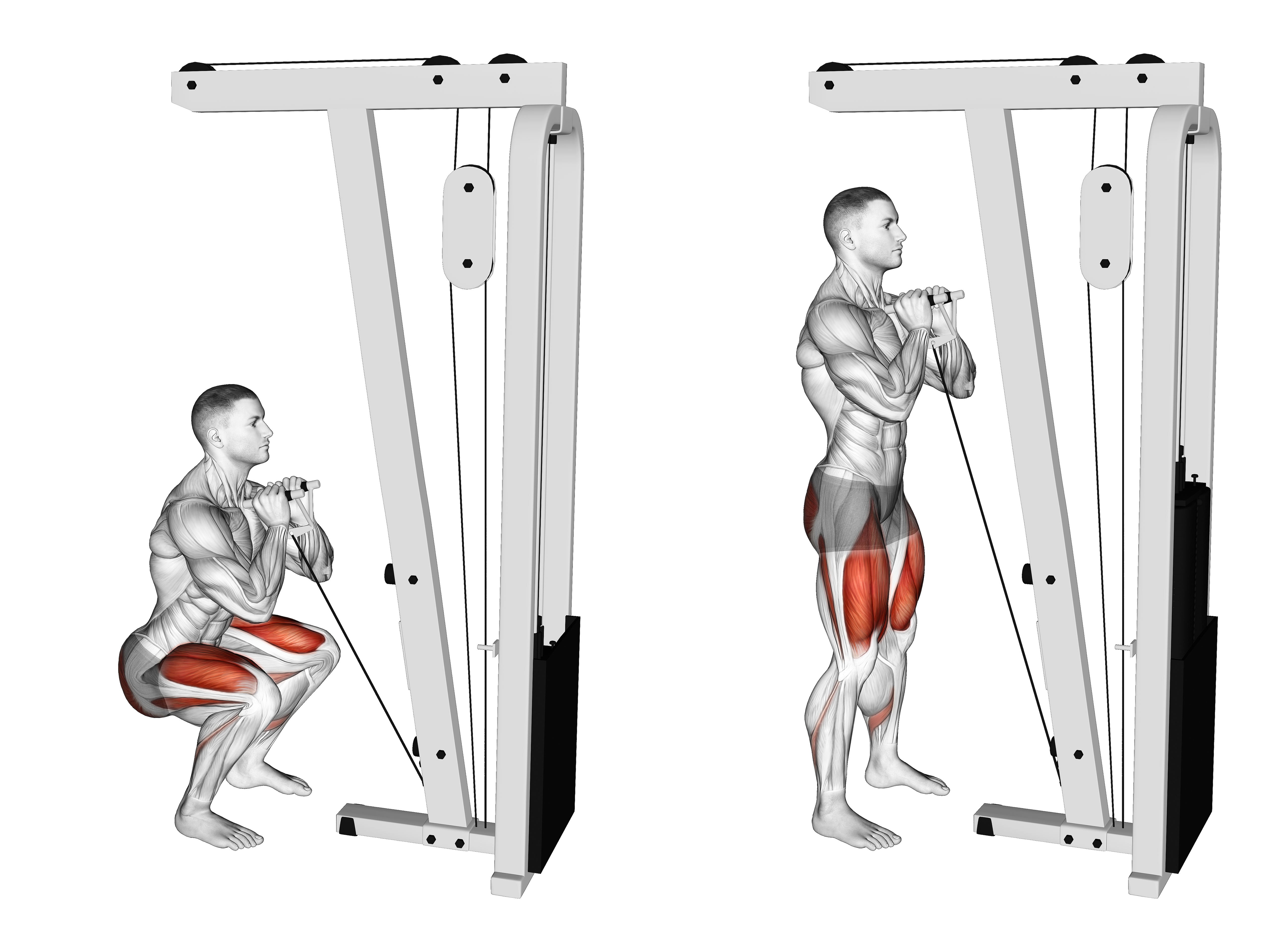 Cable Front Squat With V Bar