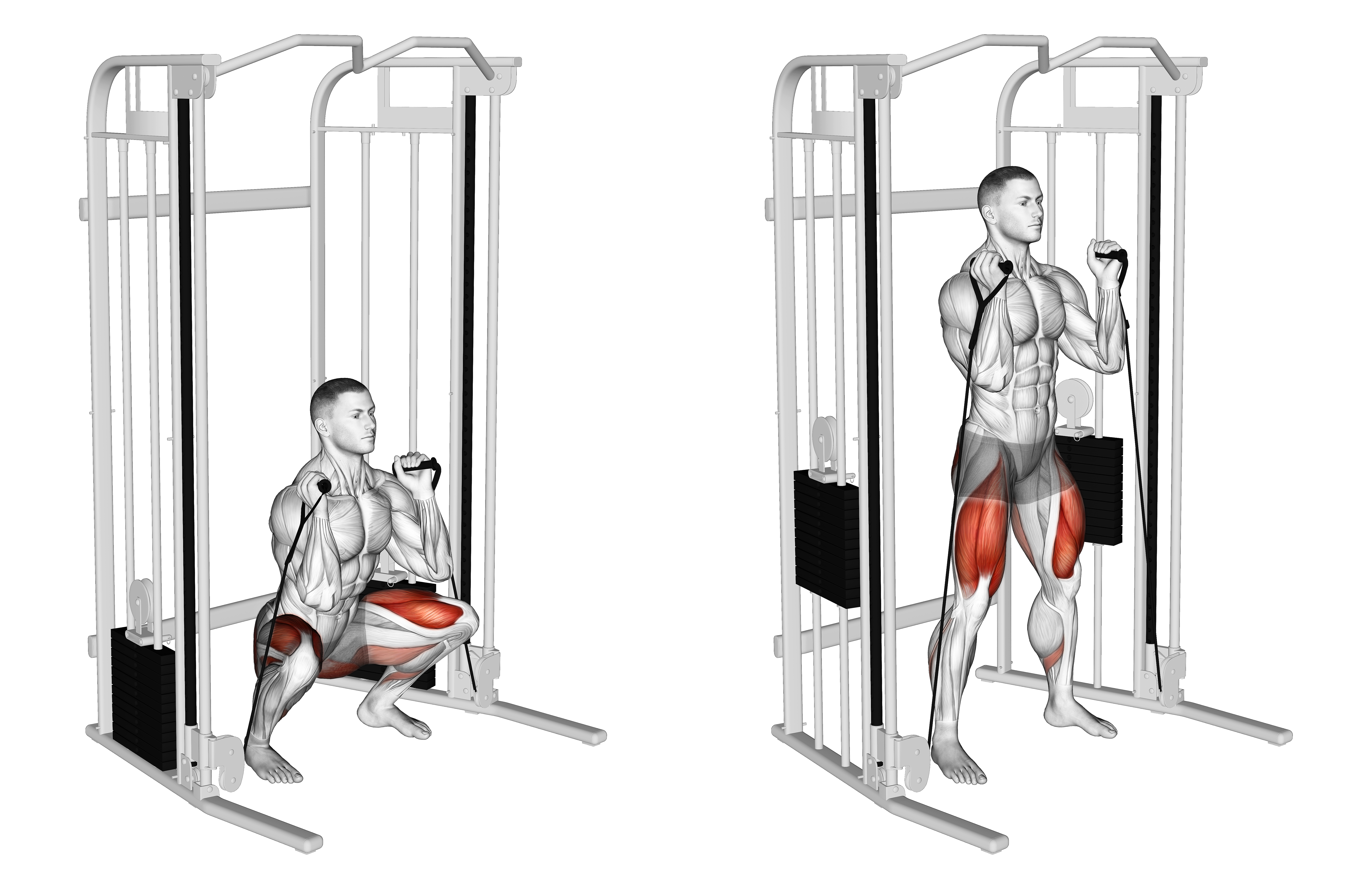 Cable Front Squat