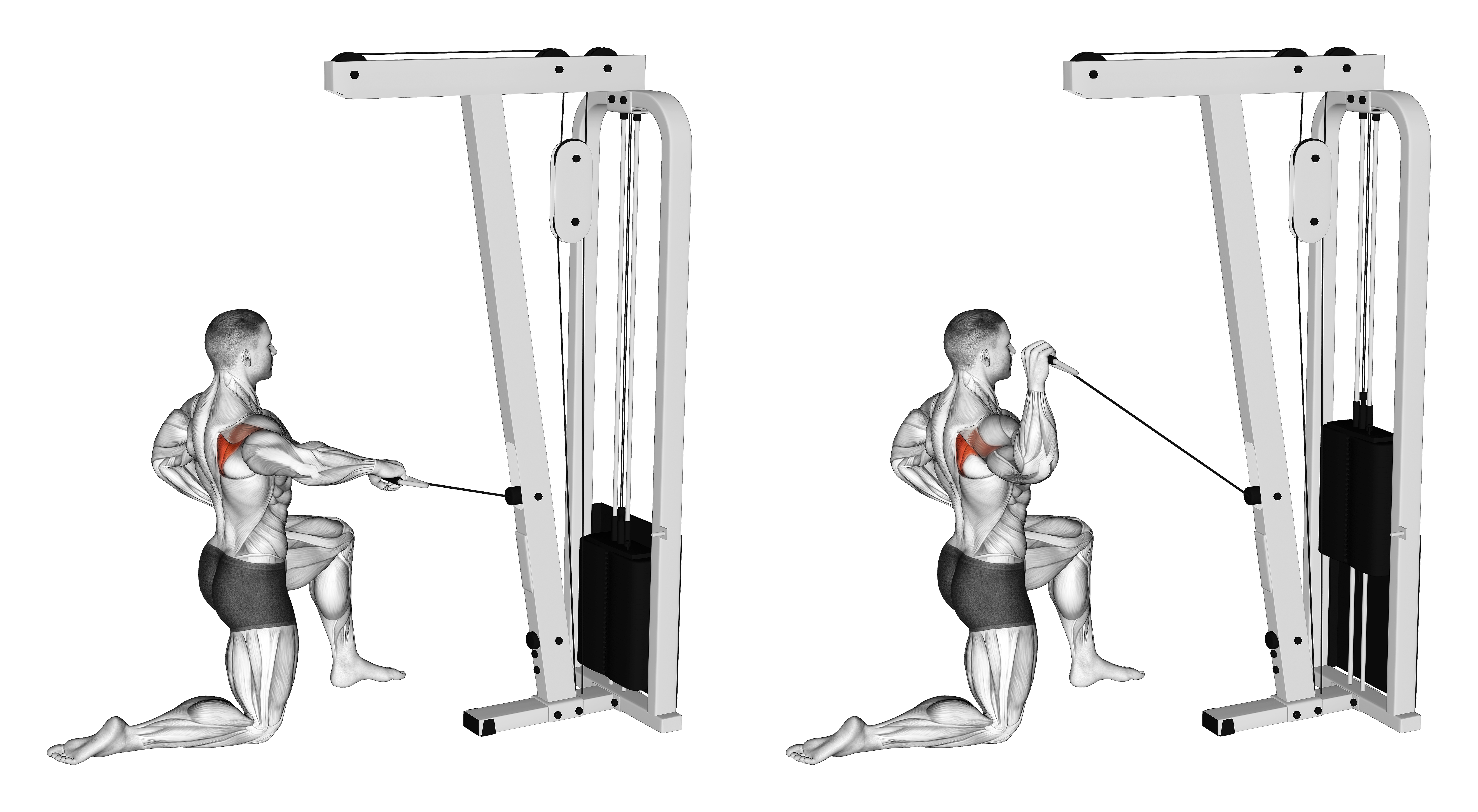 Cable Half Kneeling External Rotation