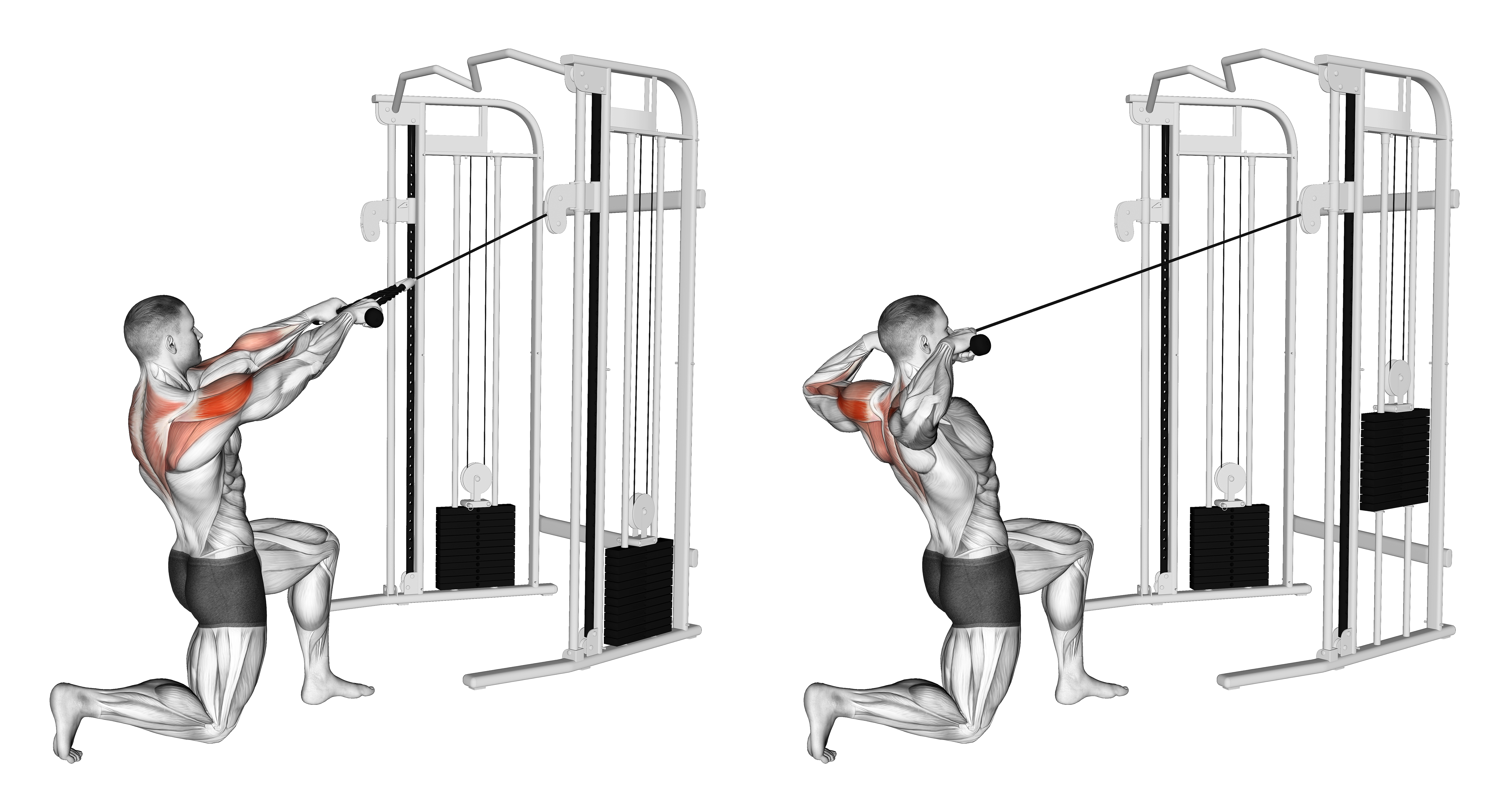 Cable Half Kneeling Face Pull
