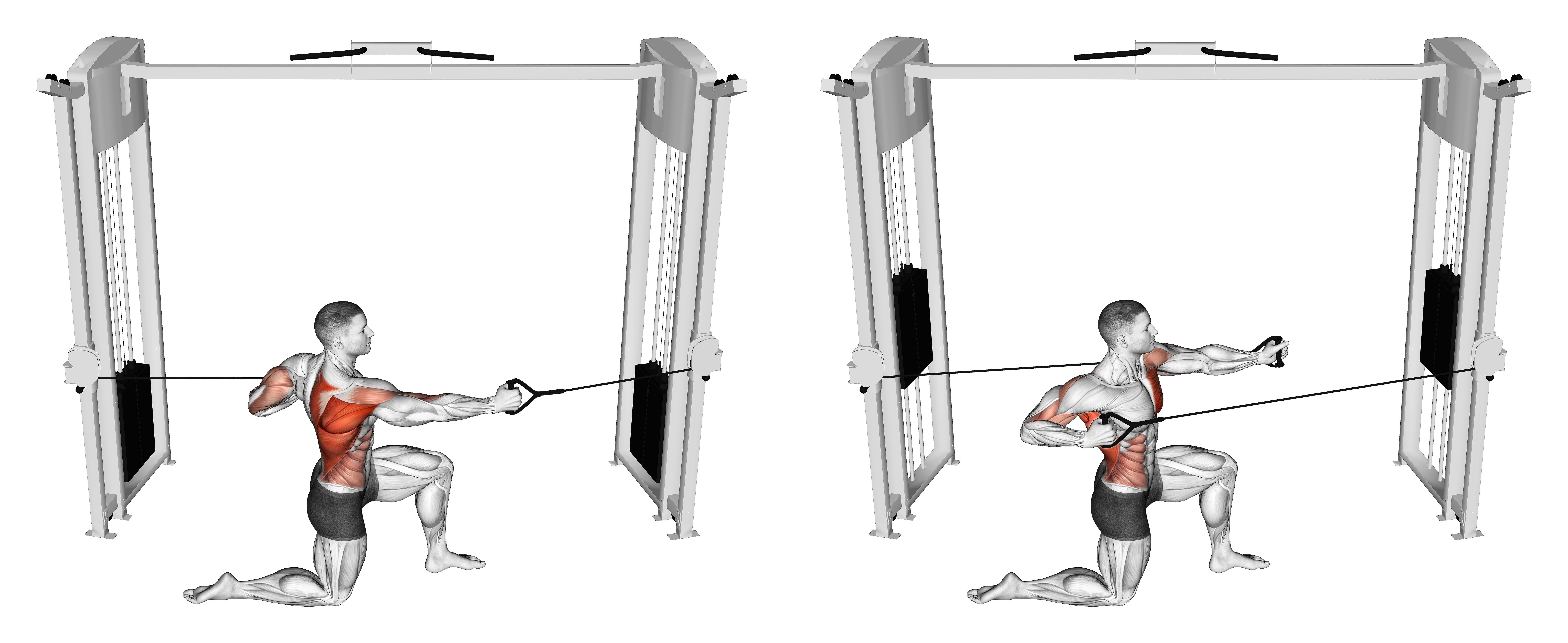 Cable Half Kneeling Push Pull