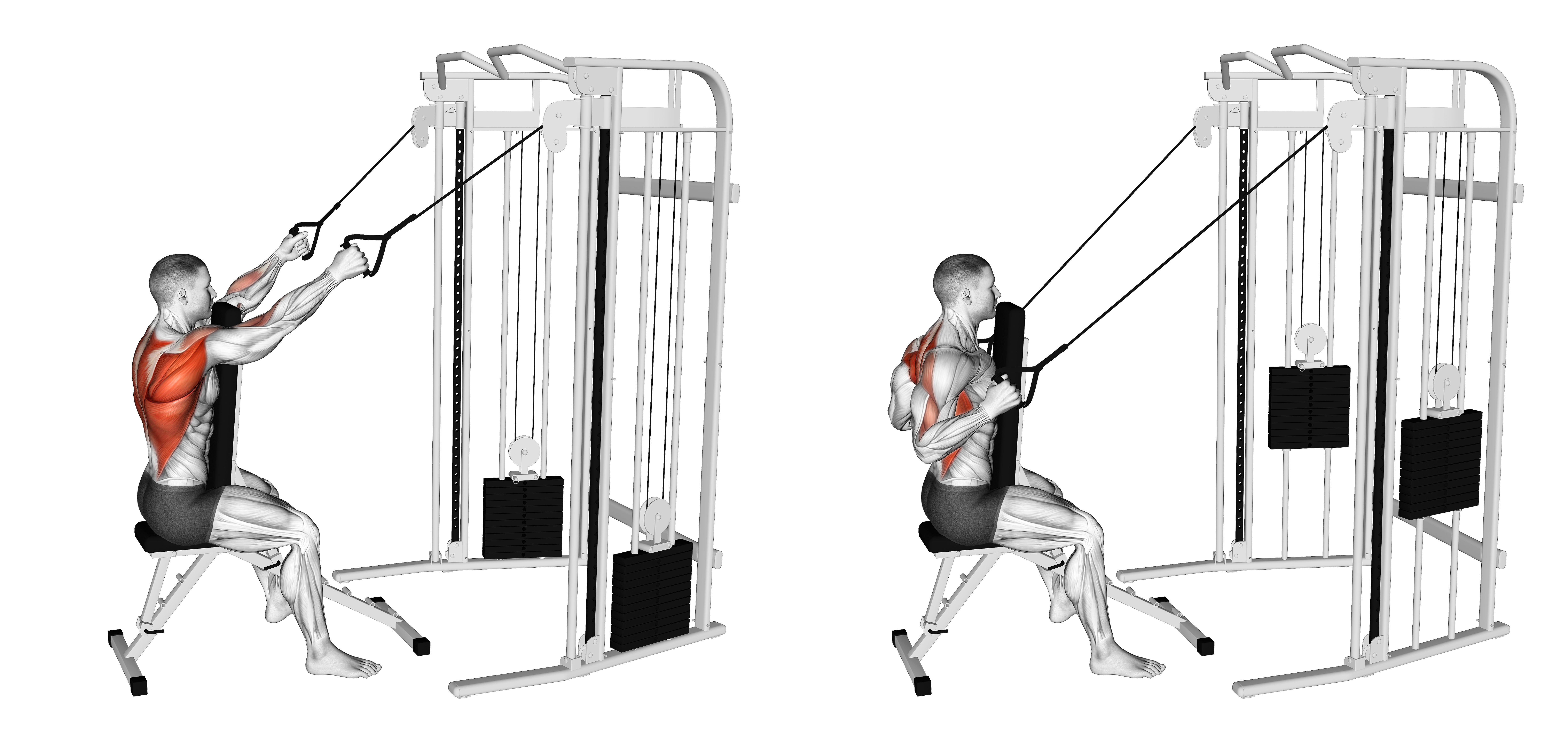 Cable High Row With Chest Support