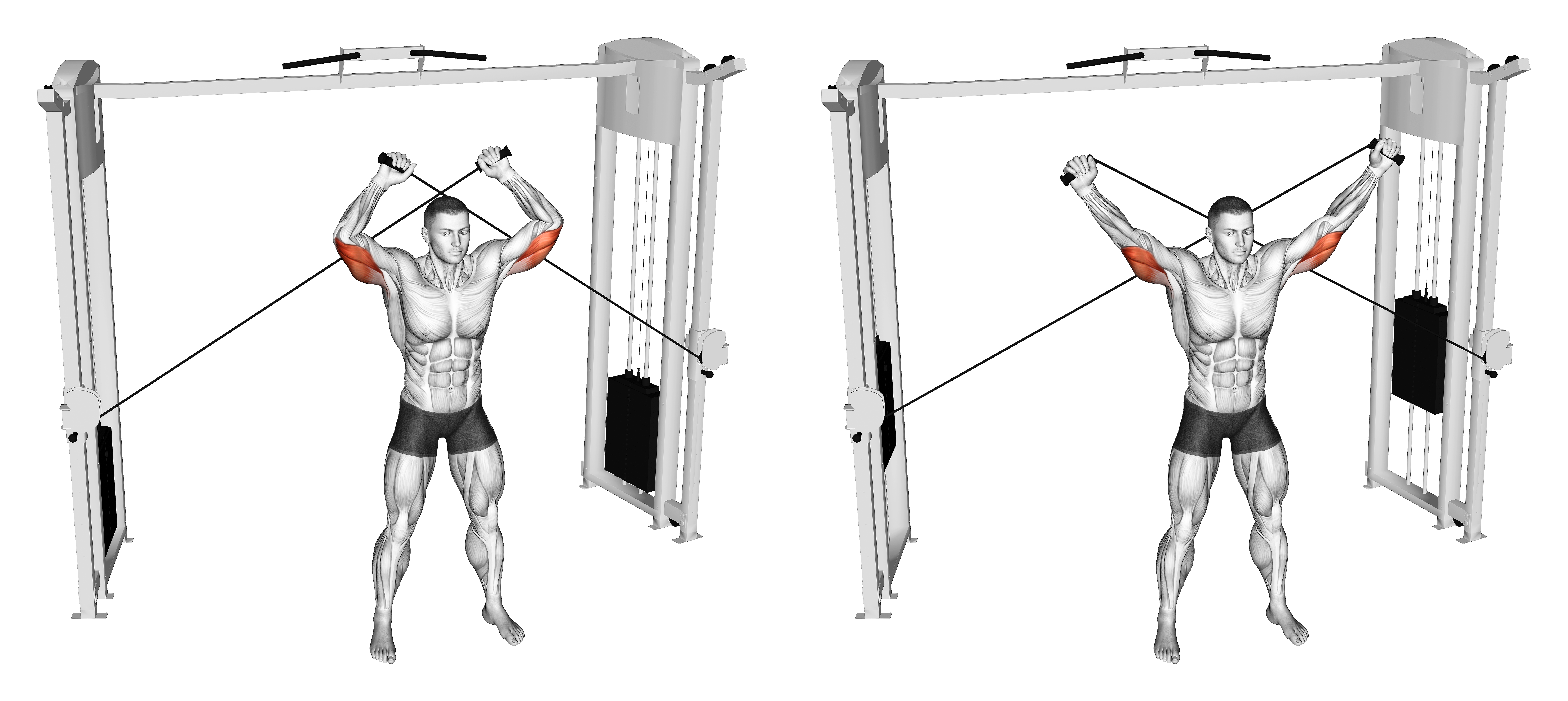 Cable High Triceps Extension