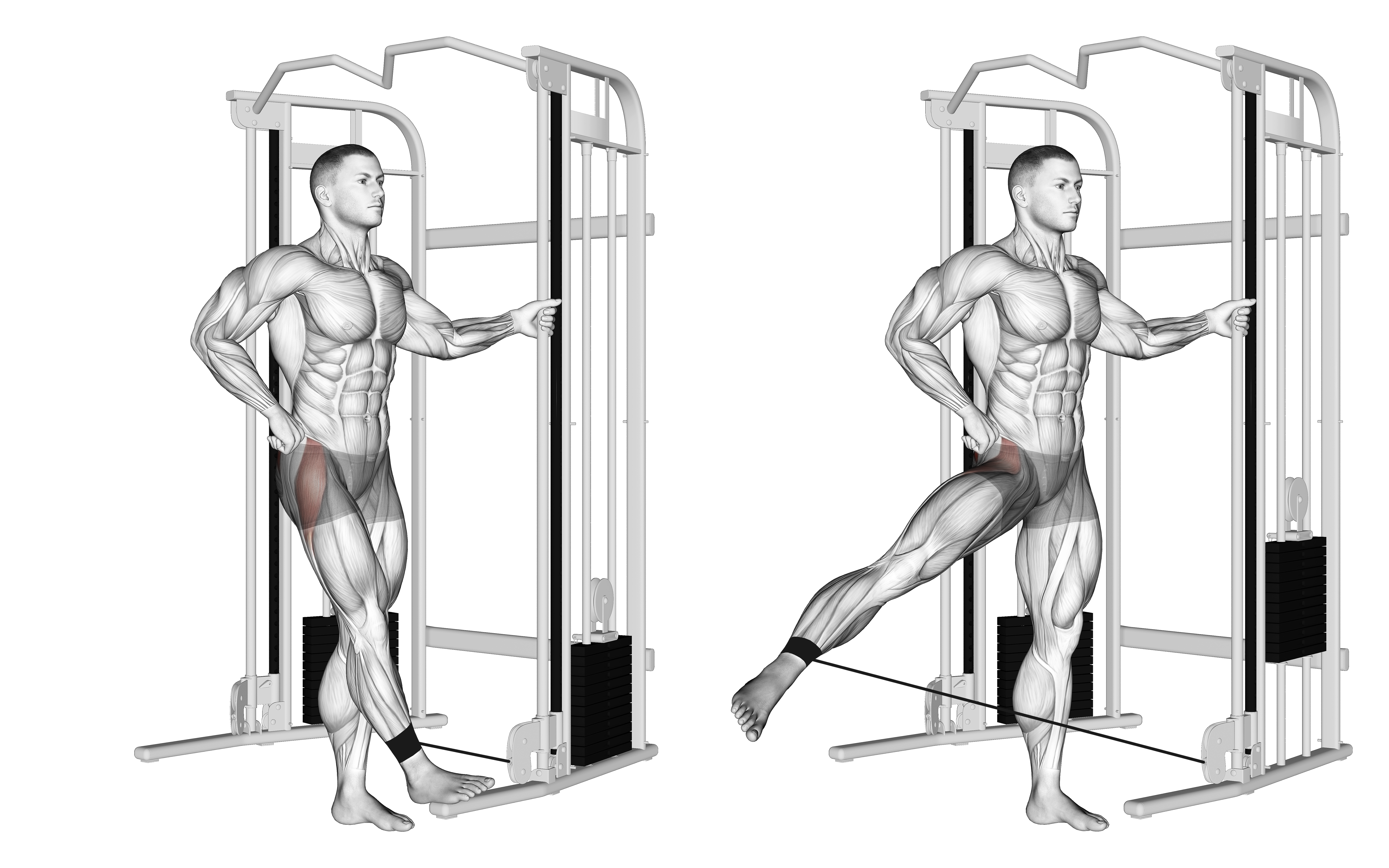 Cable Hip Abduction (version 2)