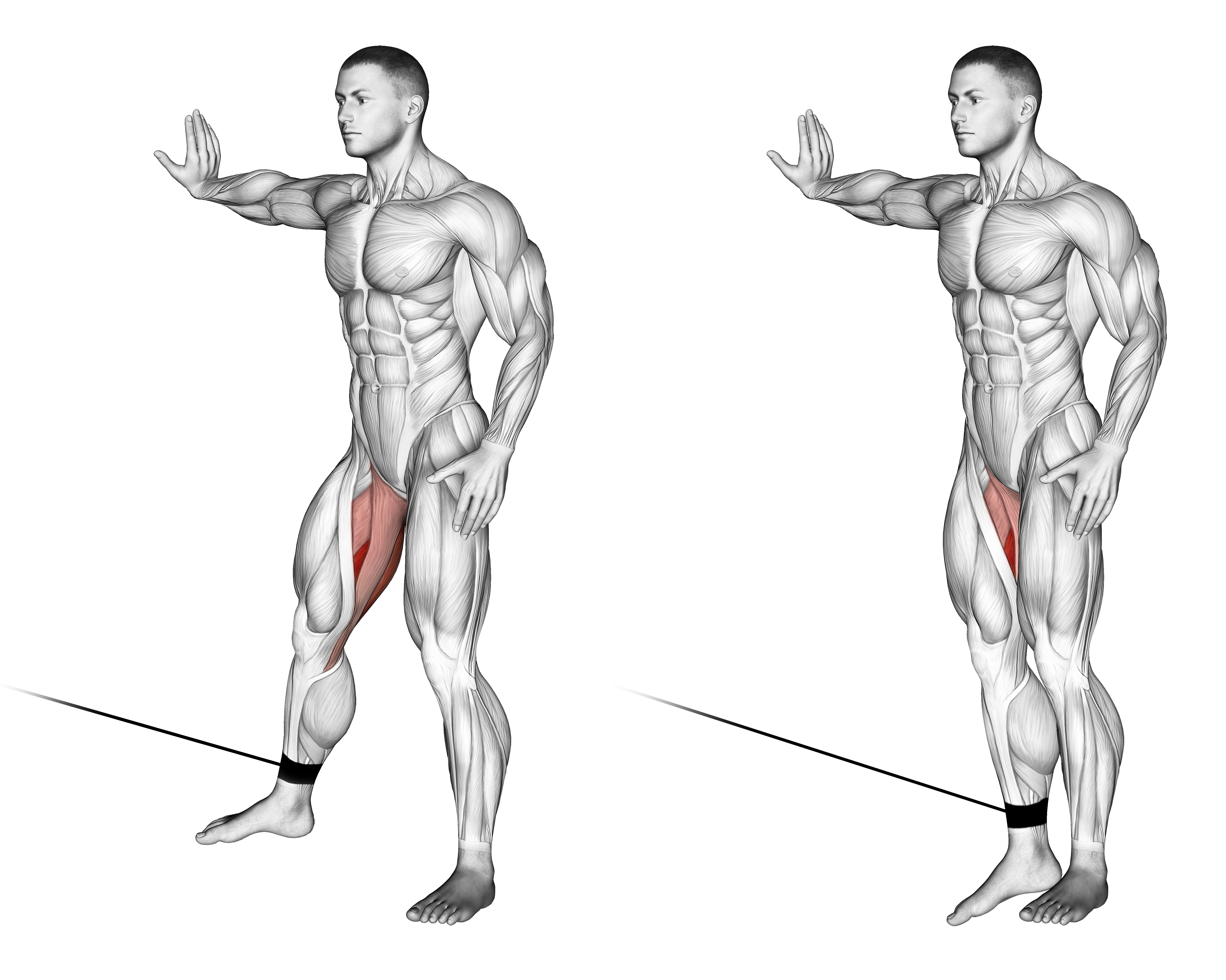 Cable Hip Adduction