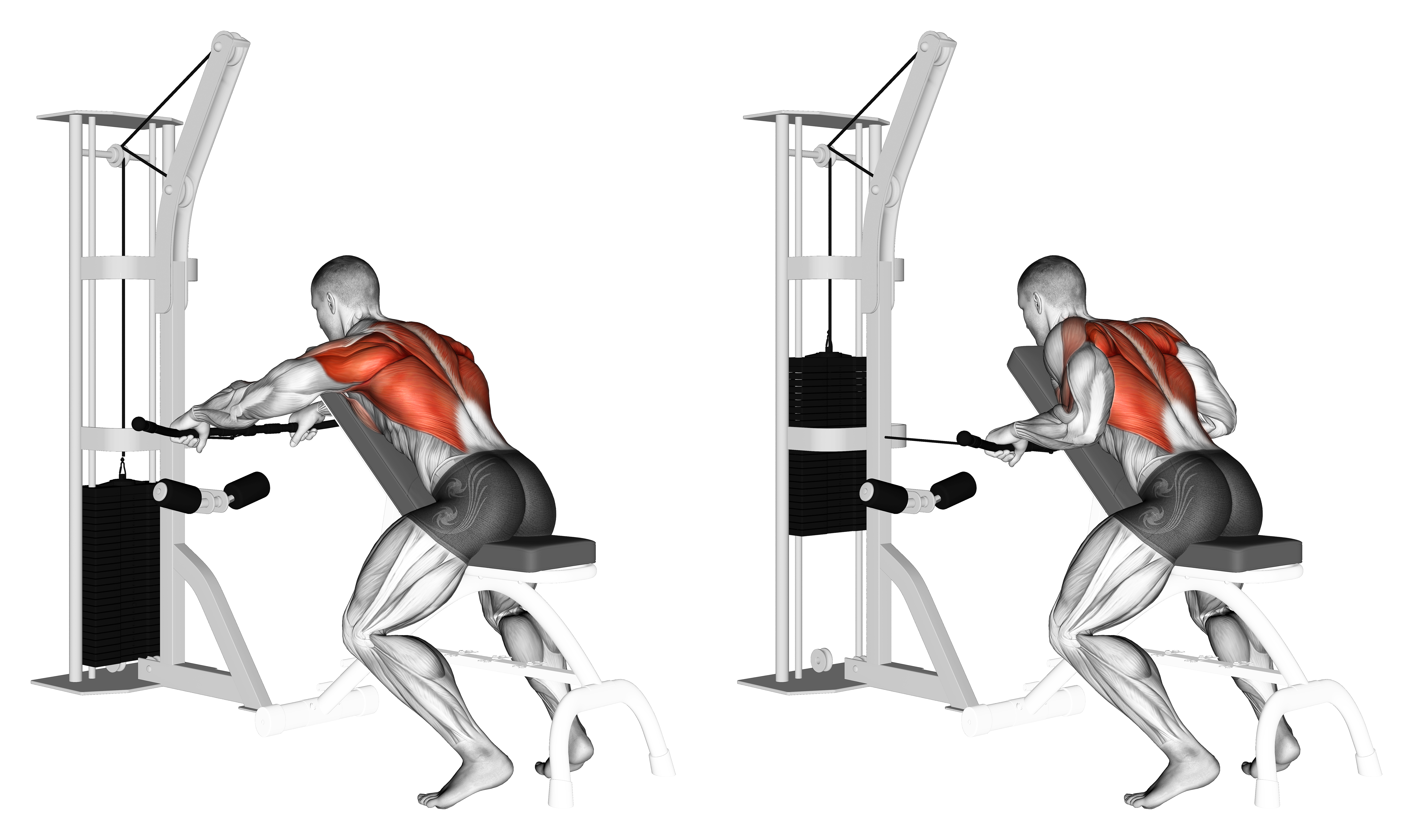 Cable Incline Bench Row