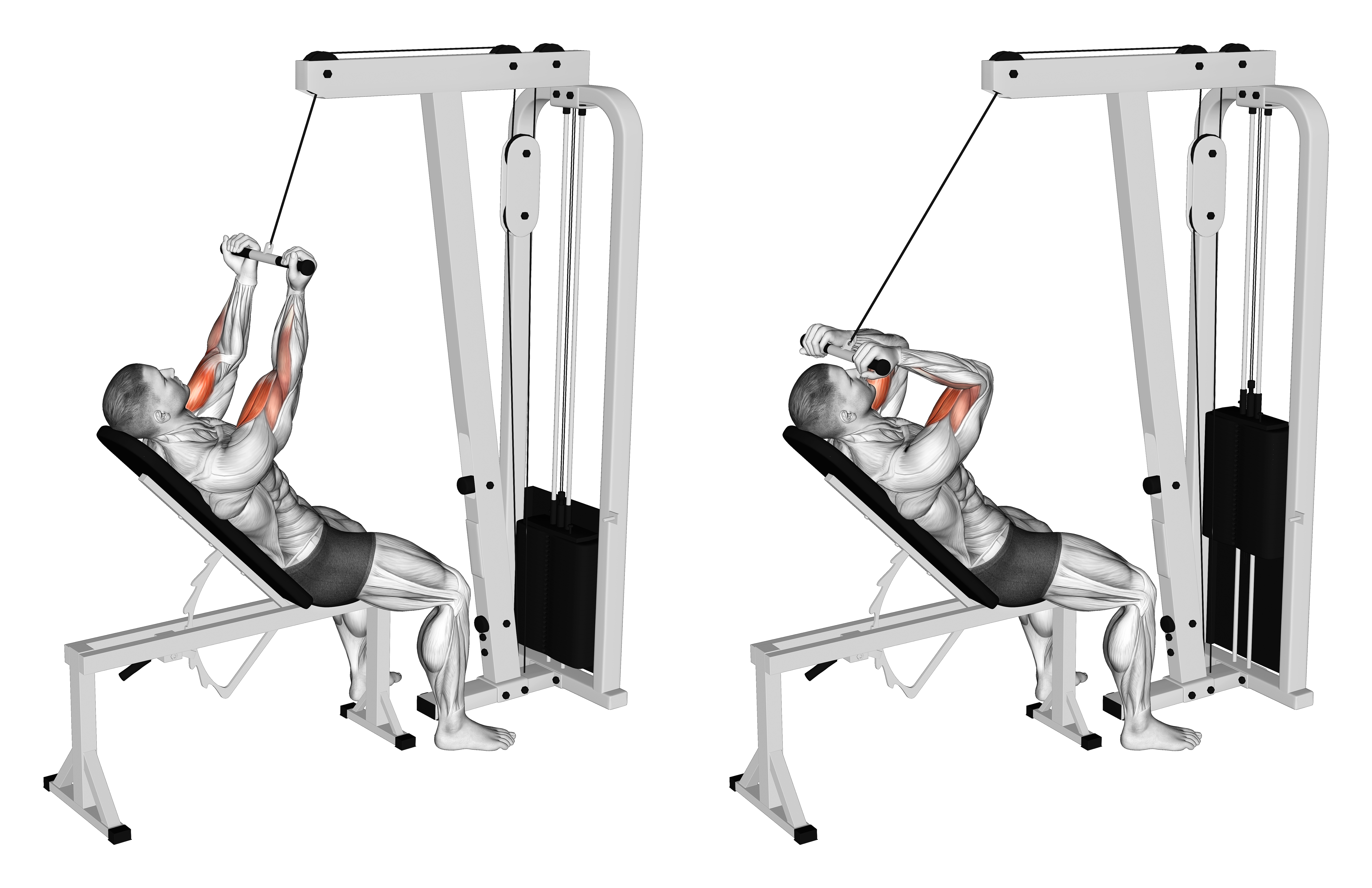 Cable Incline Close Grip Curl