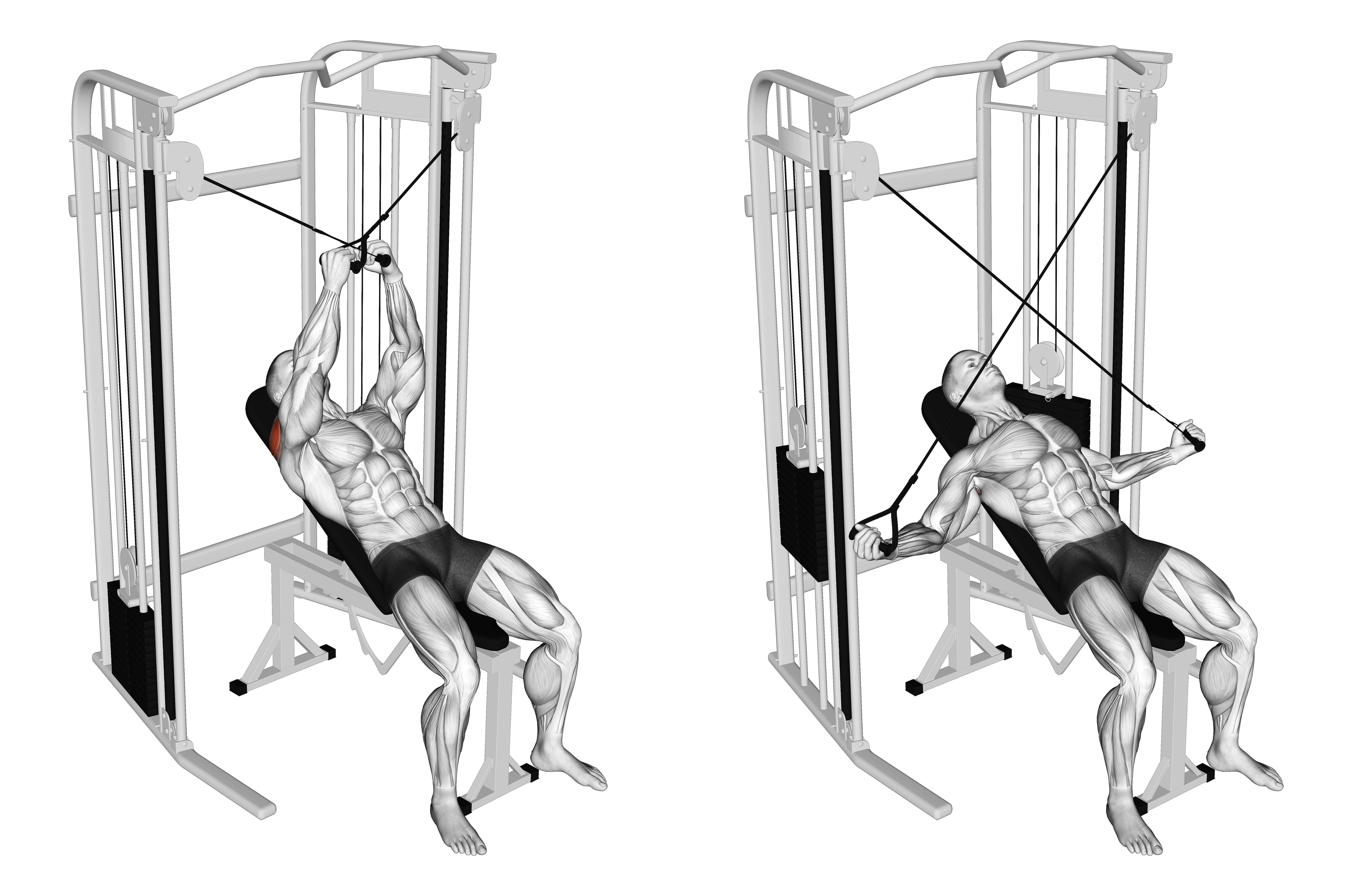 Cable Incline Cross Rear Fly