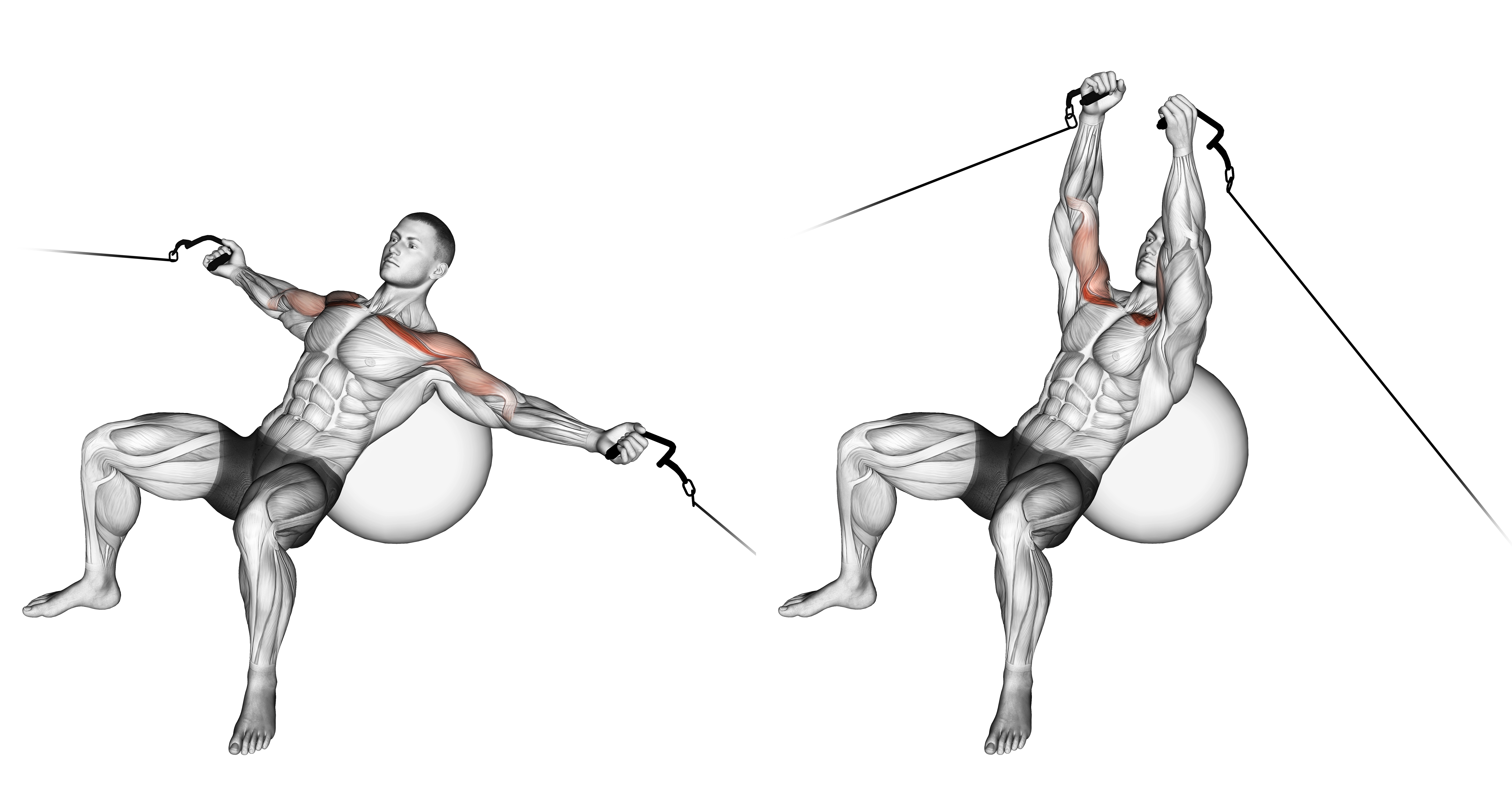 Cable Incline Fly (on Stability Ball)
