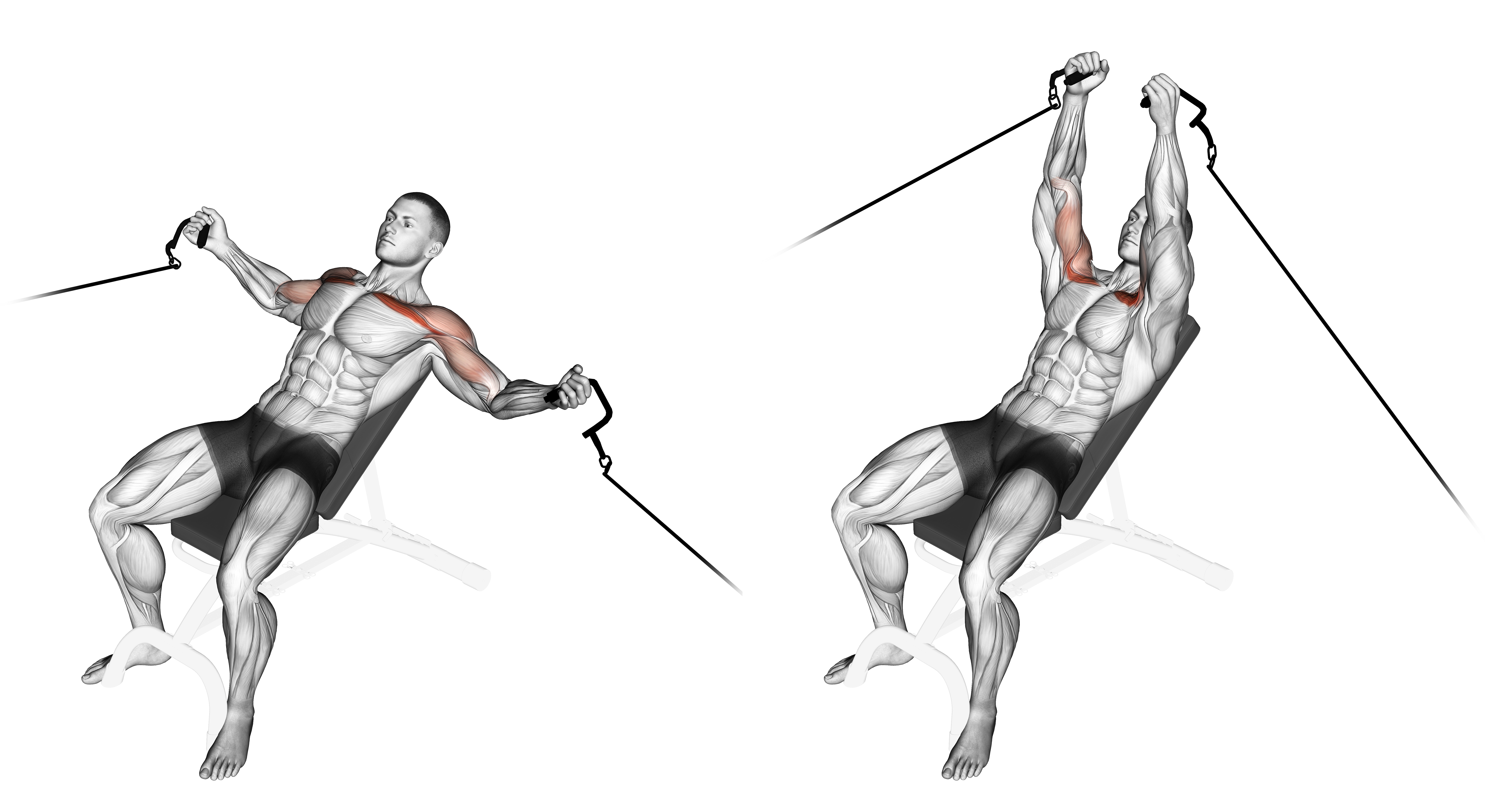 Cable Incline Fly