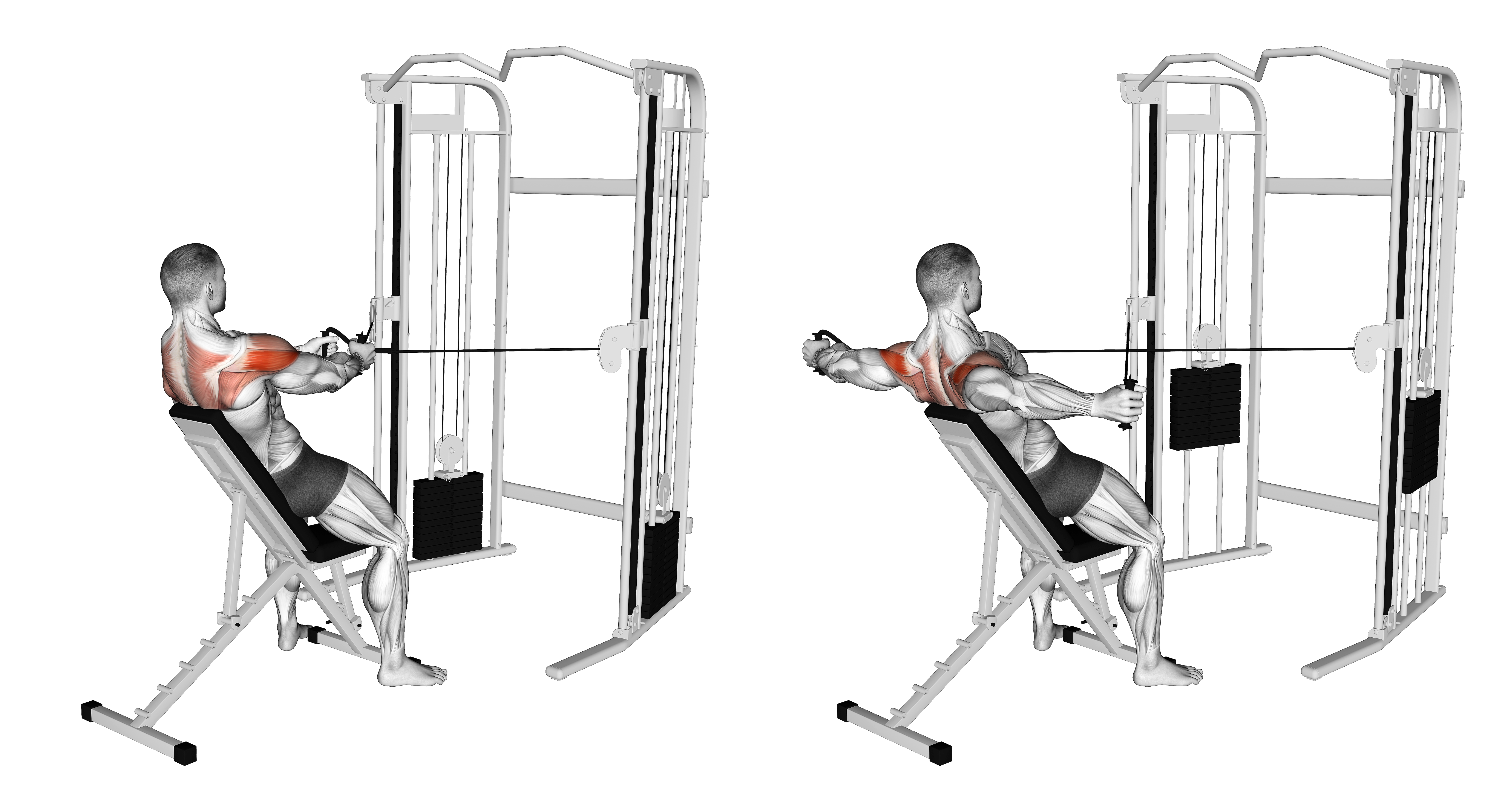 Cable Incline Rear Delt Fly With Back Support