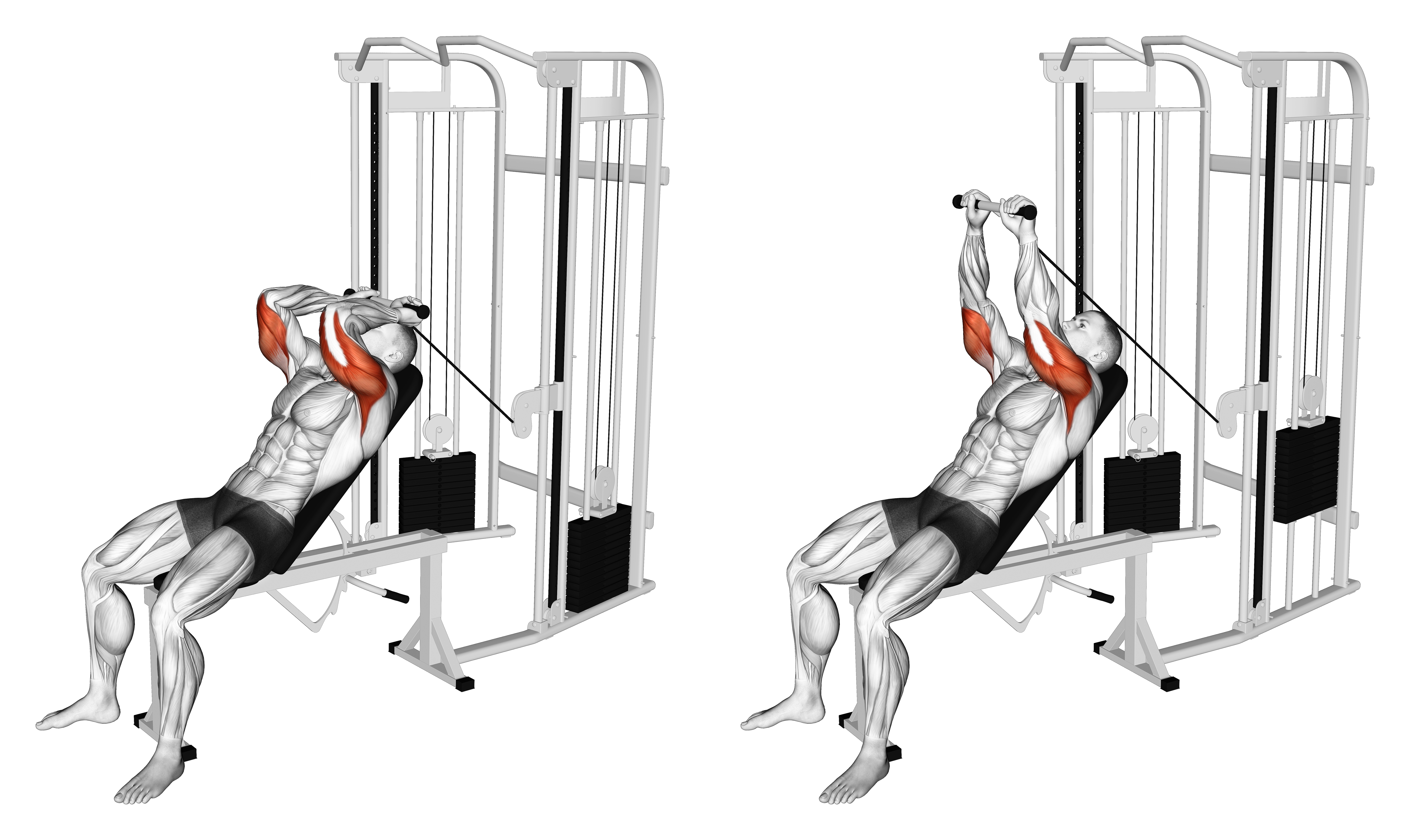 Cable Incline Skull Crusher