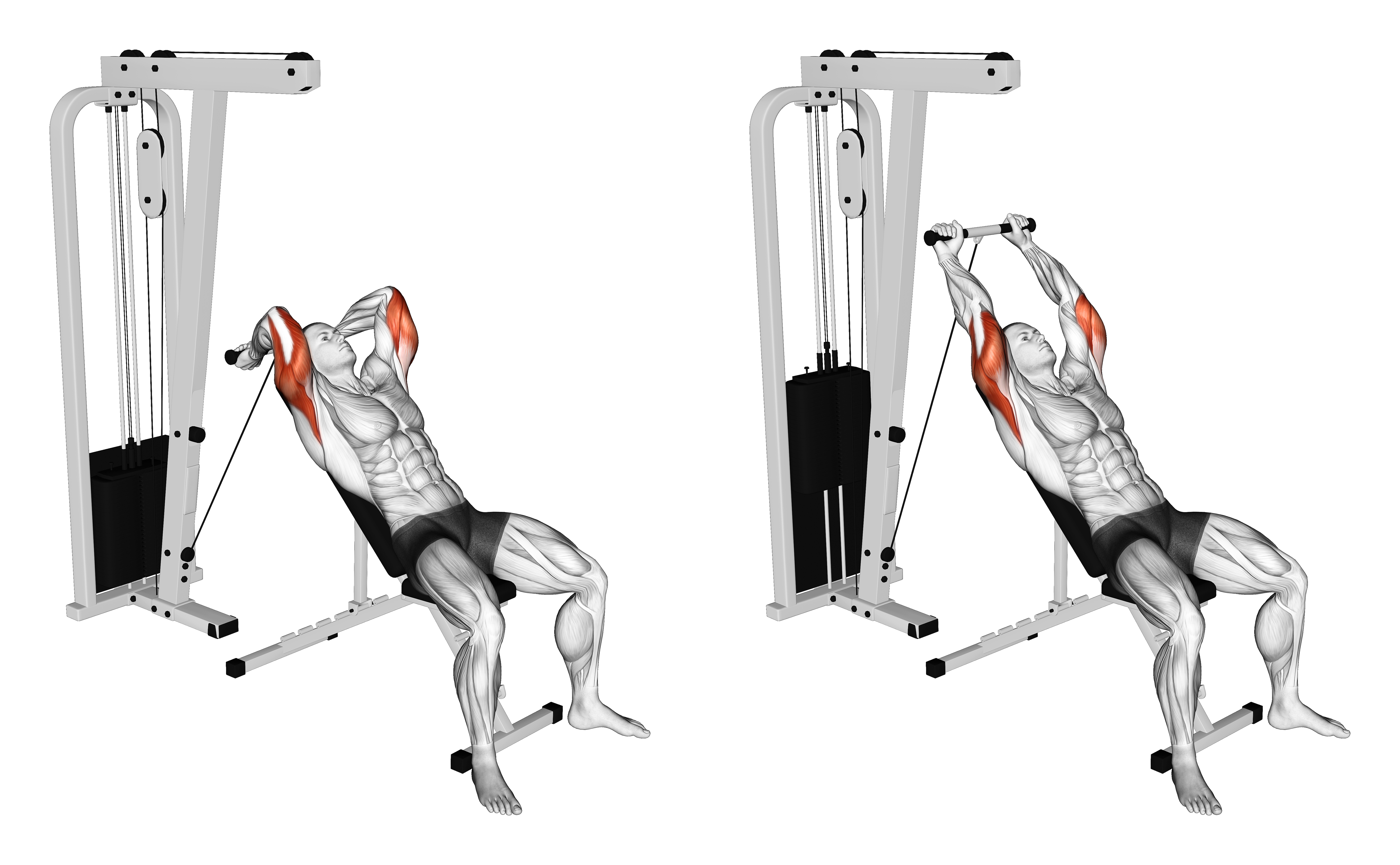 Cable Incline Triceps Extension