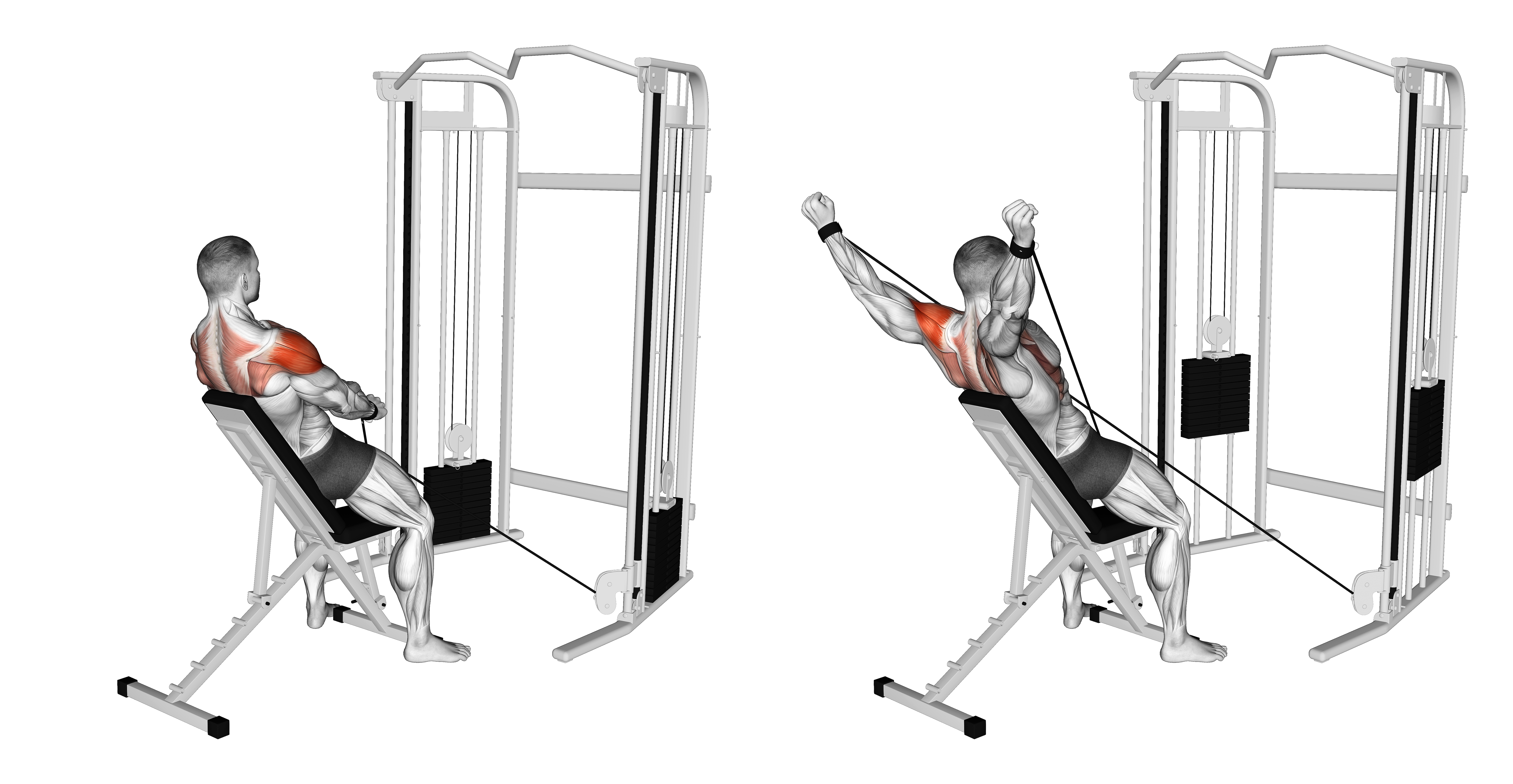 Cable Incline Y Raise Wrist Straps With Back Support