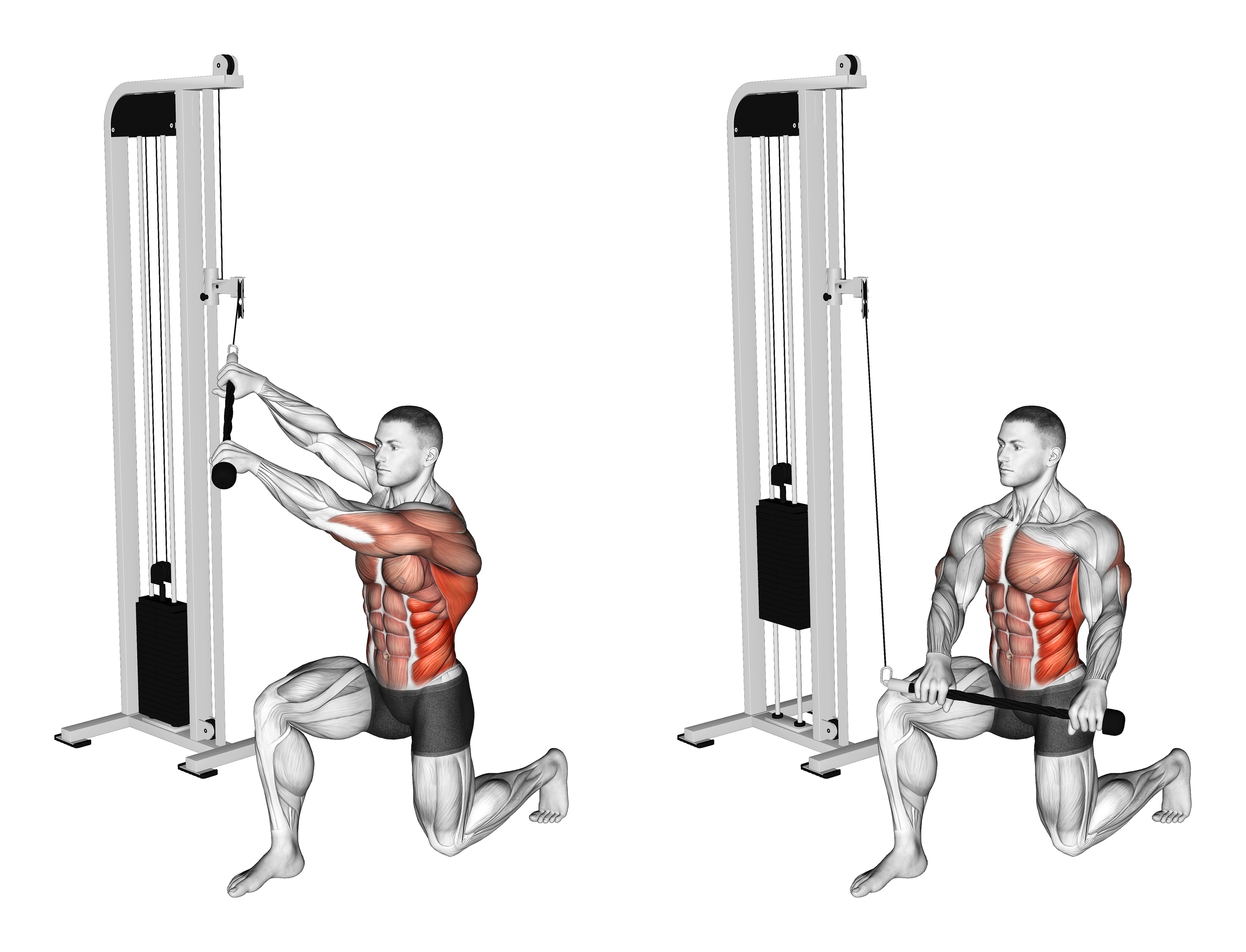 Cable Kneeling High Low Anti Rotation Chop