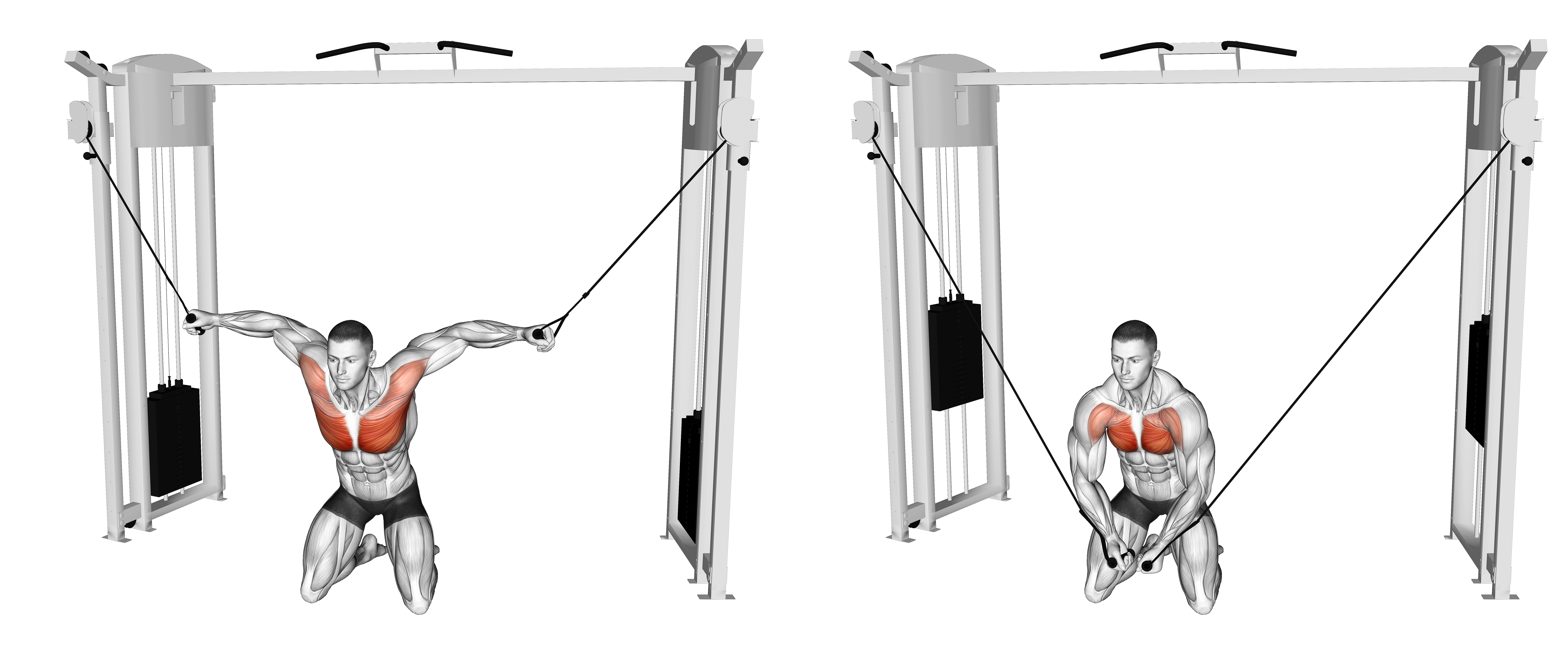 Cable Kneeling High To Low Fly