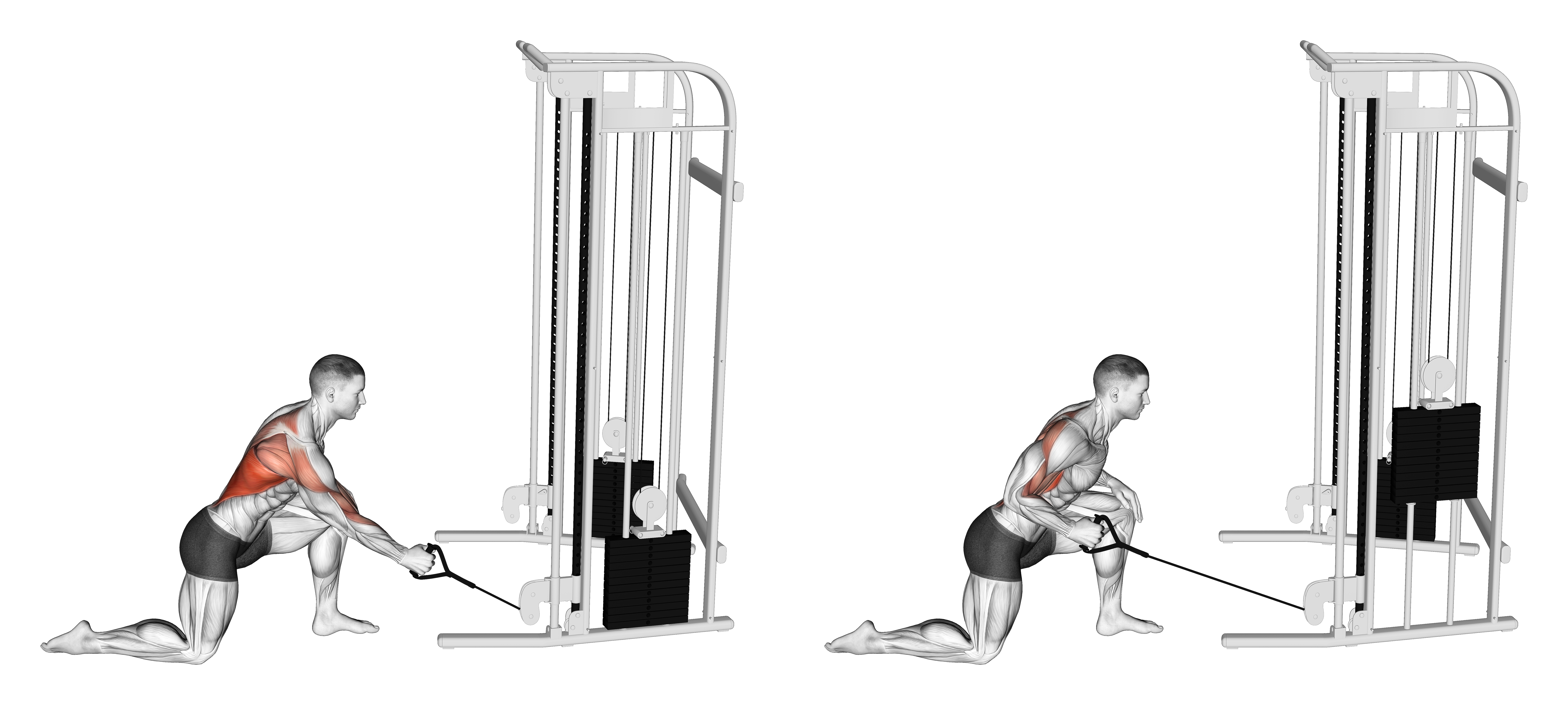 Cable Kneeling Leaning Forward One Arm Row