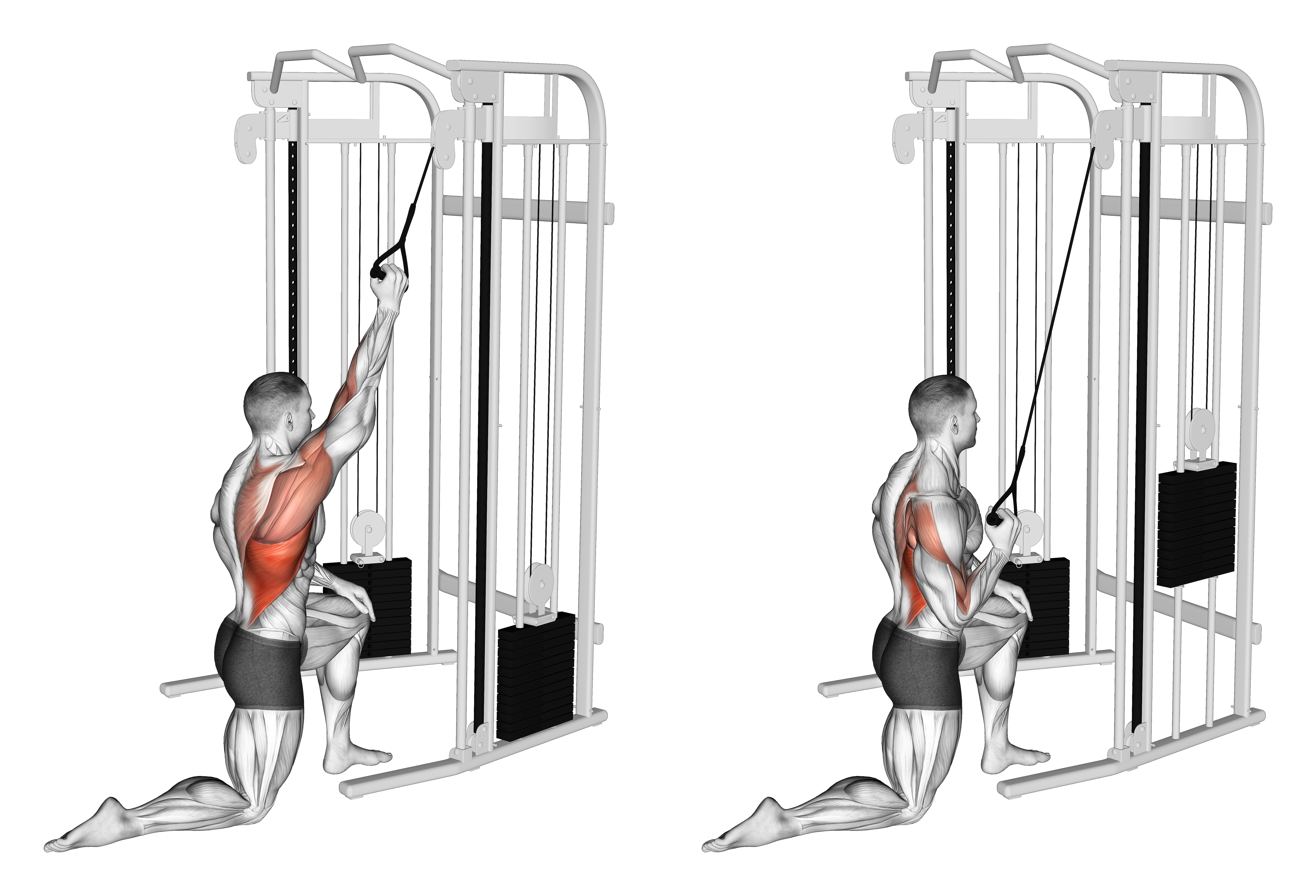 Cable Kneeling One Arm Lat Pulldown