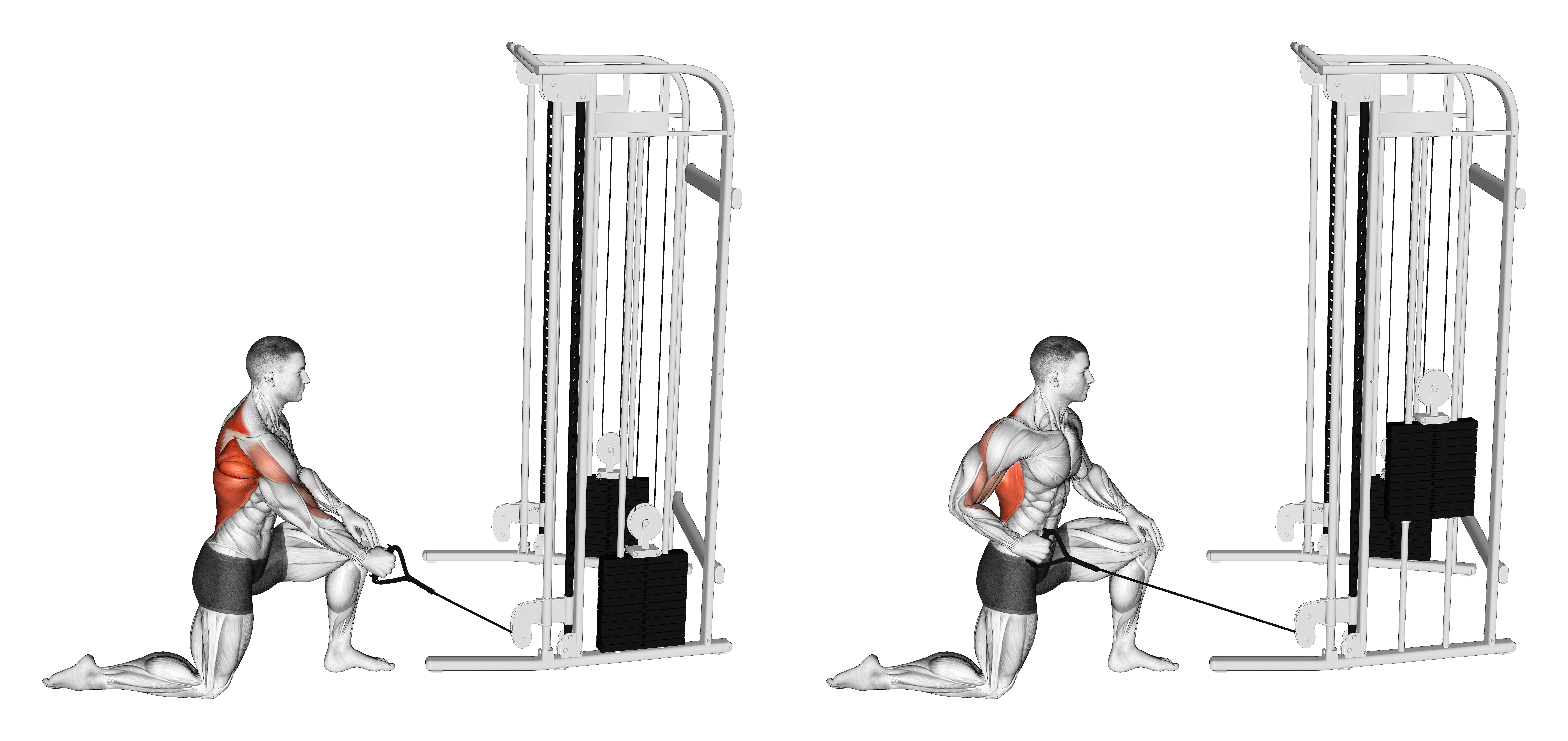 Cable Kneeling One Arm Row