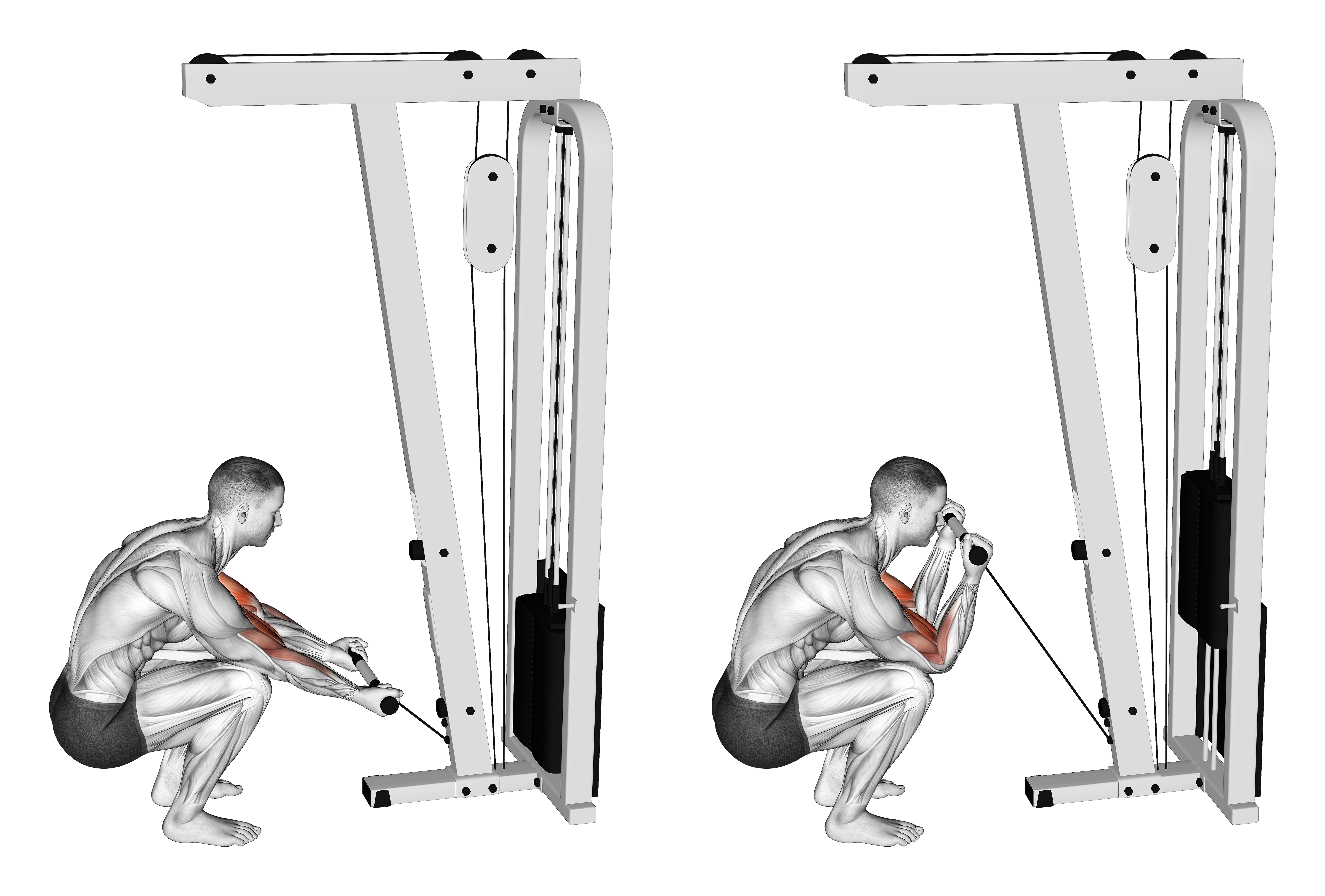 Cable Kneeling Preacher Curl