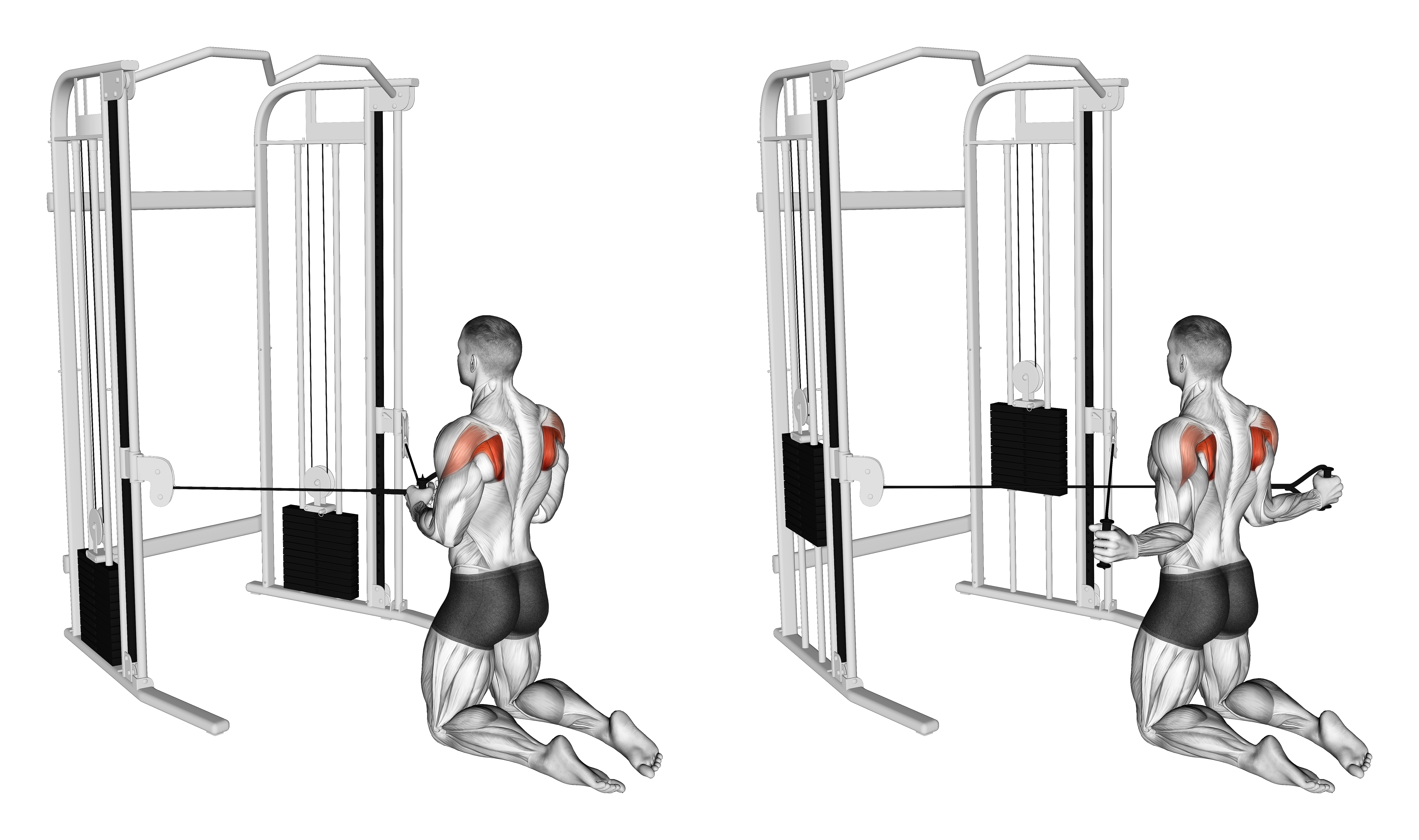 Cable Kneeling Shoulder Internal Rotation