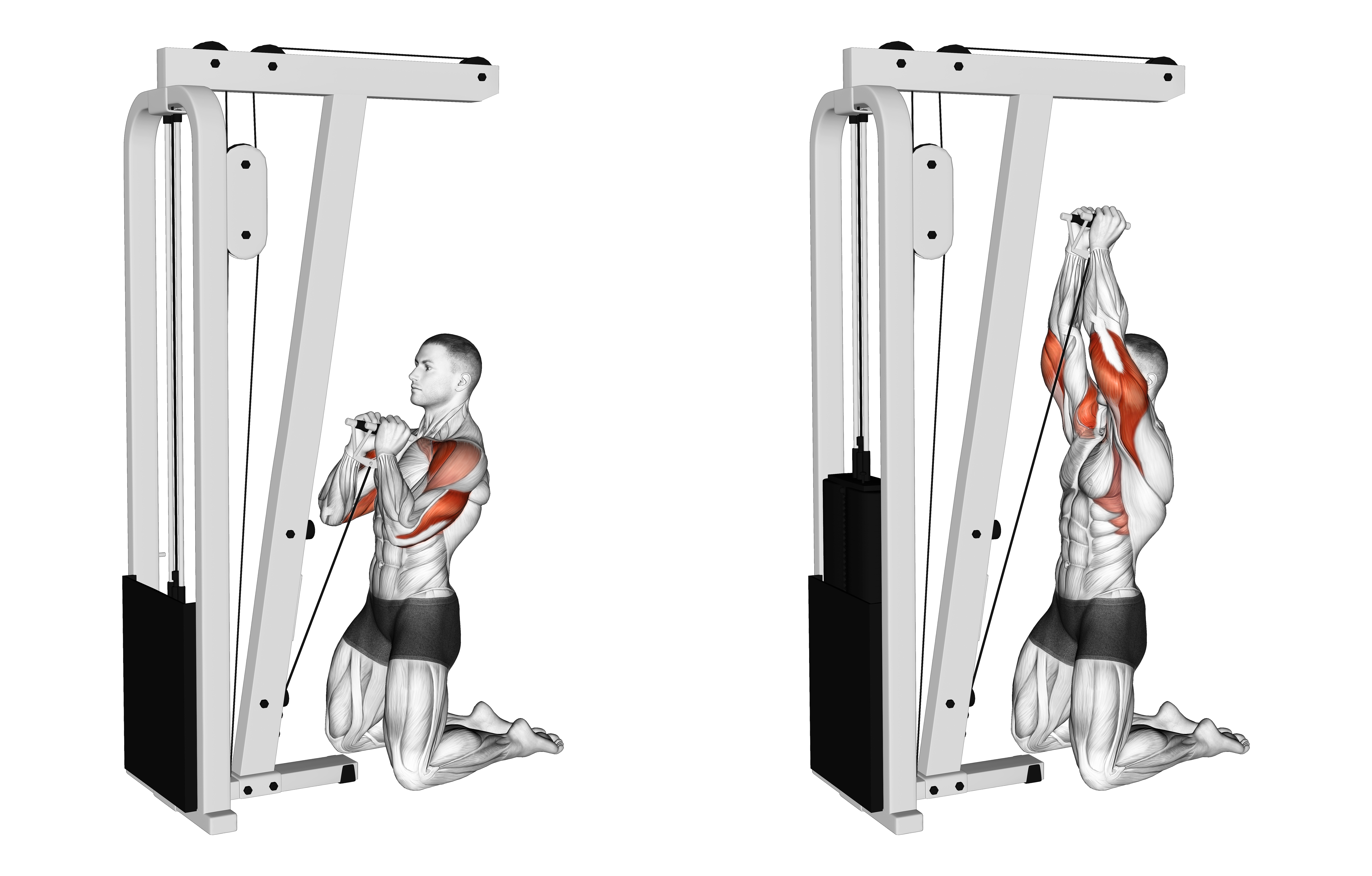 Cable Kneeling Shoulder Press
