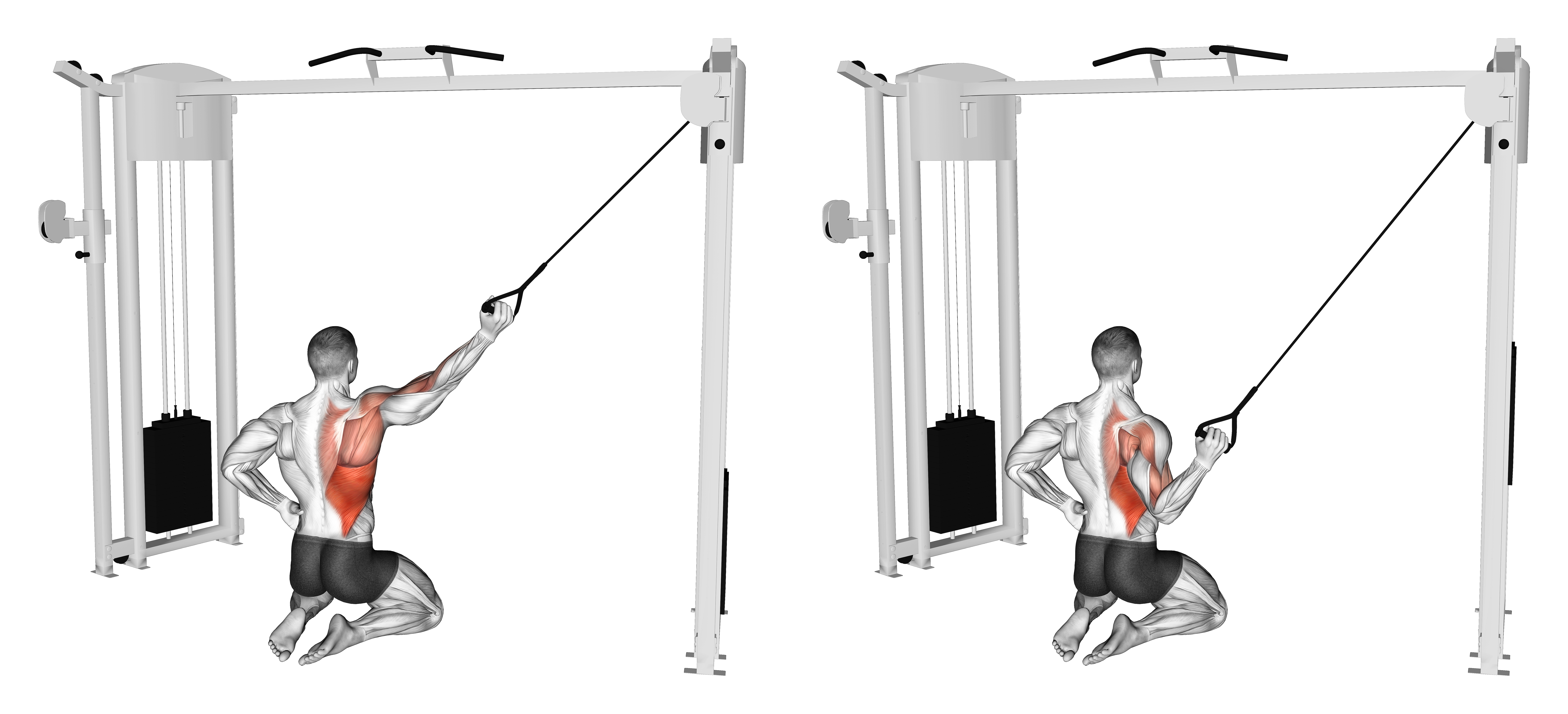 Cable Kneeling Single Lat Pulldown