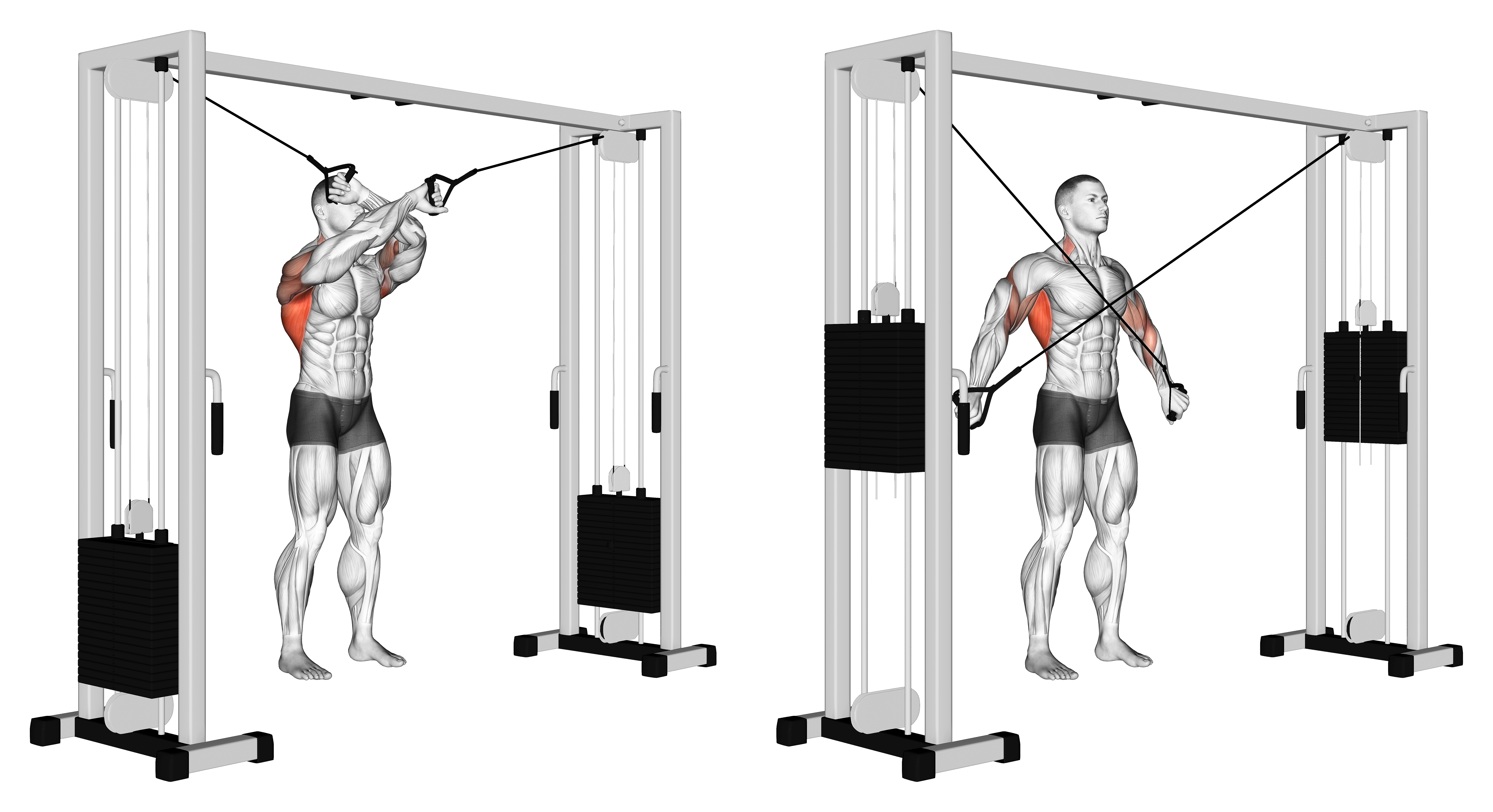 Cable Lat Pulldown Full Range Of Motion