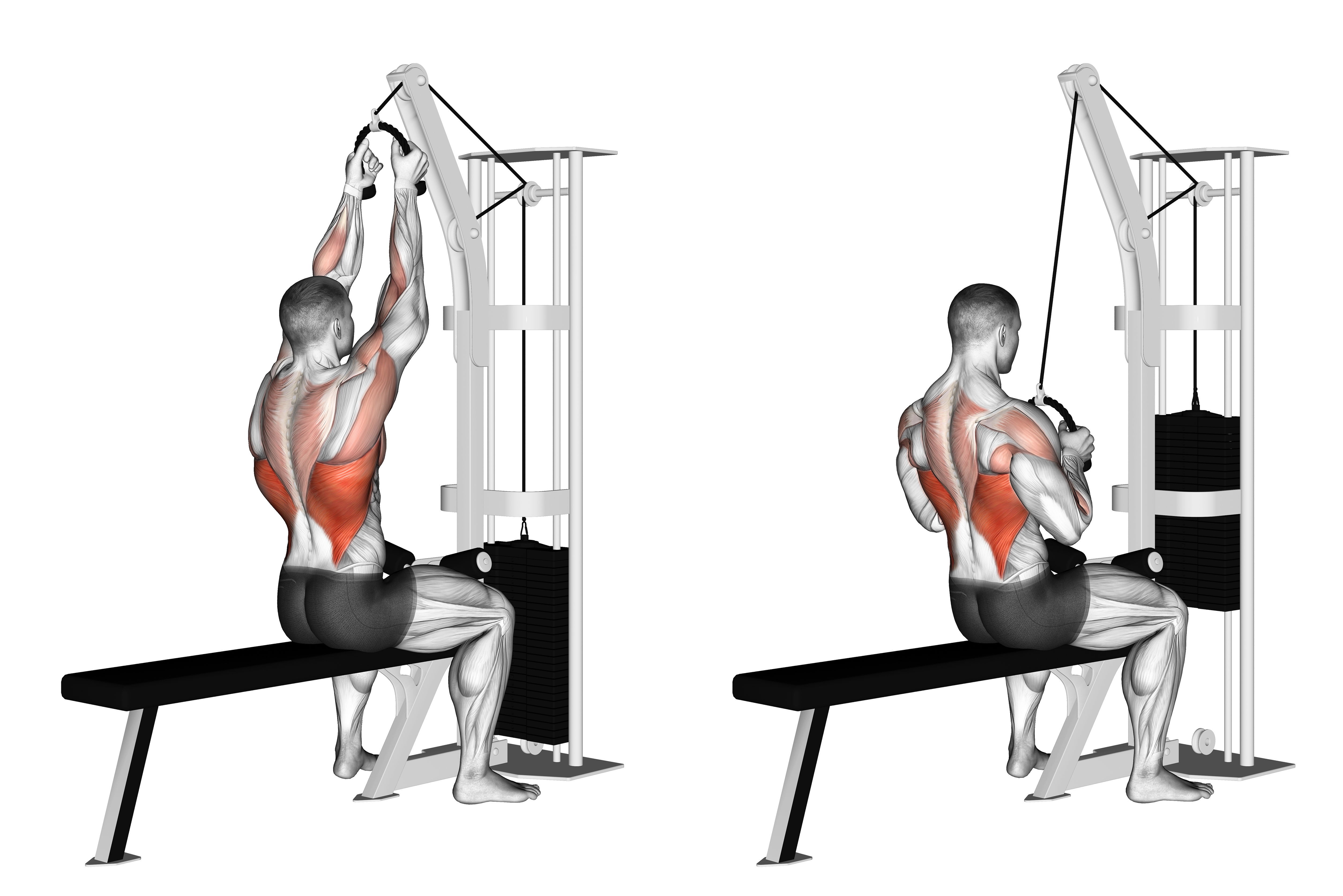 Cable Lateral Pulldown (with Rope Attachment)