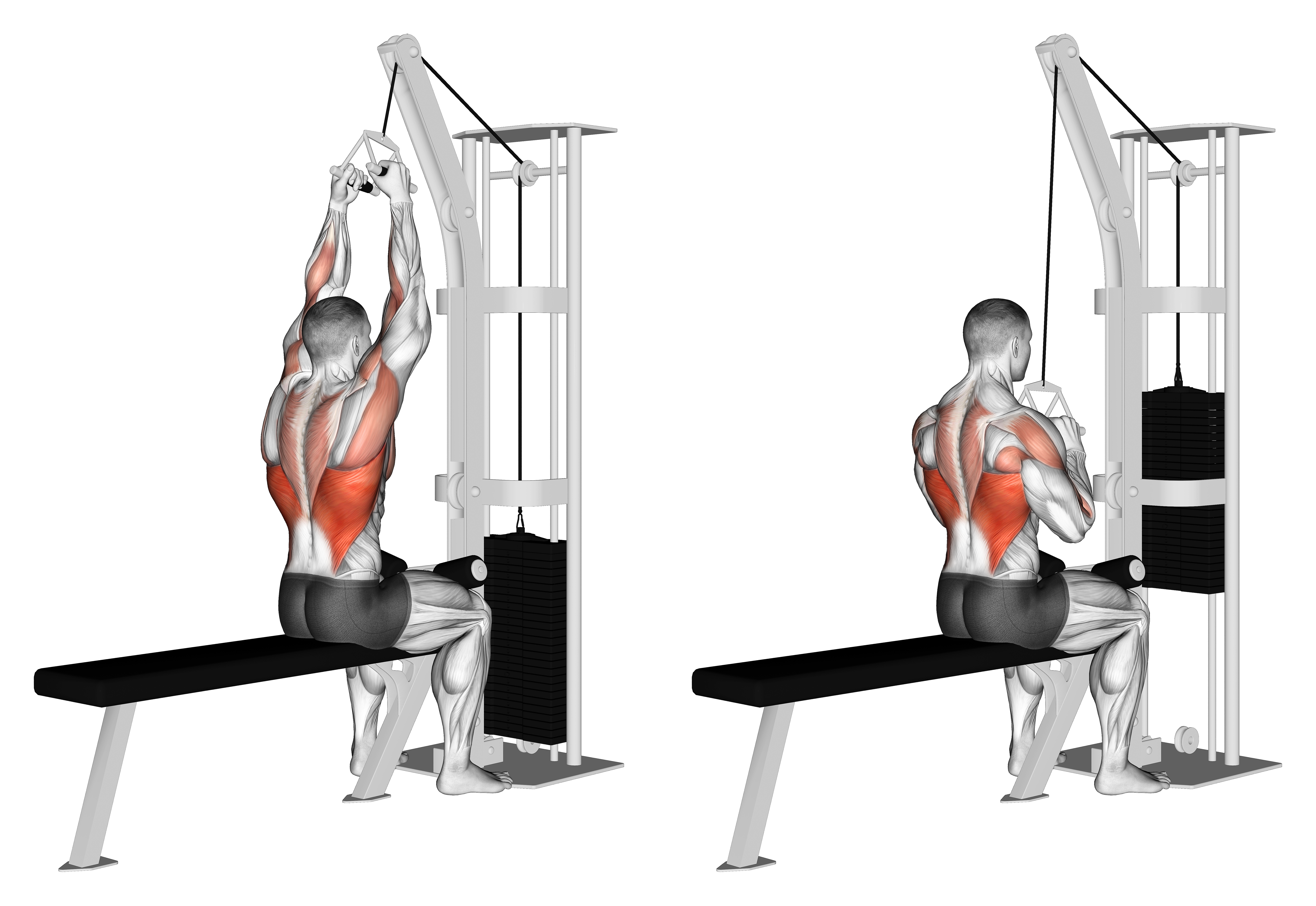 Cable Lateral Pulldown With V Bar