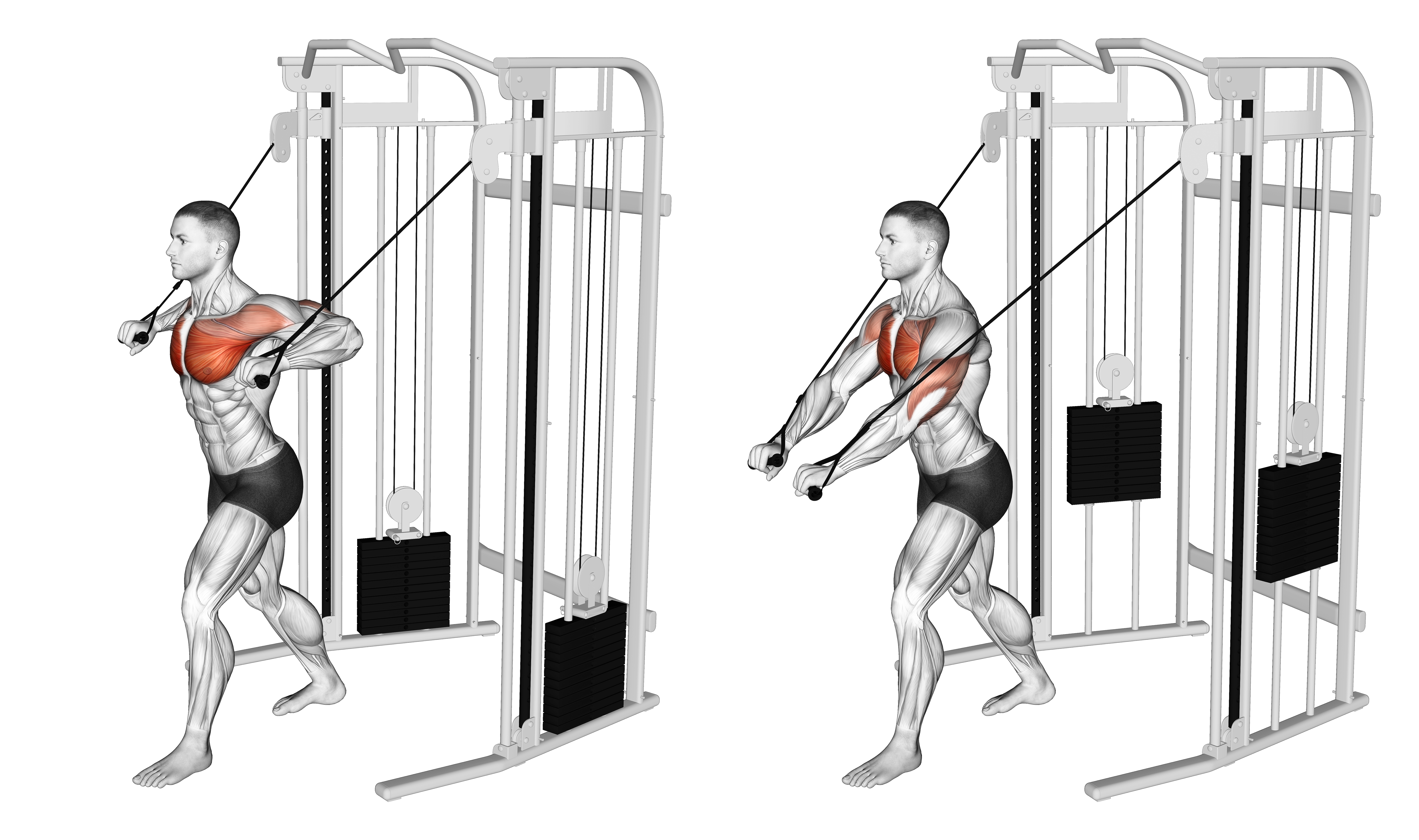 Cable Low Chest Press