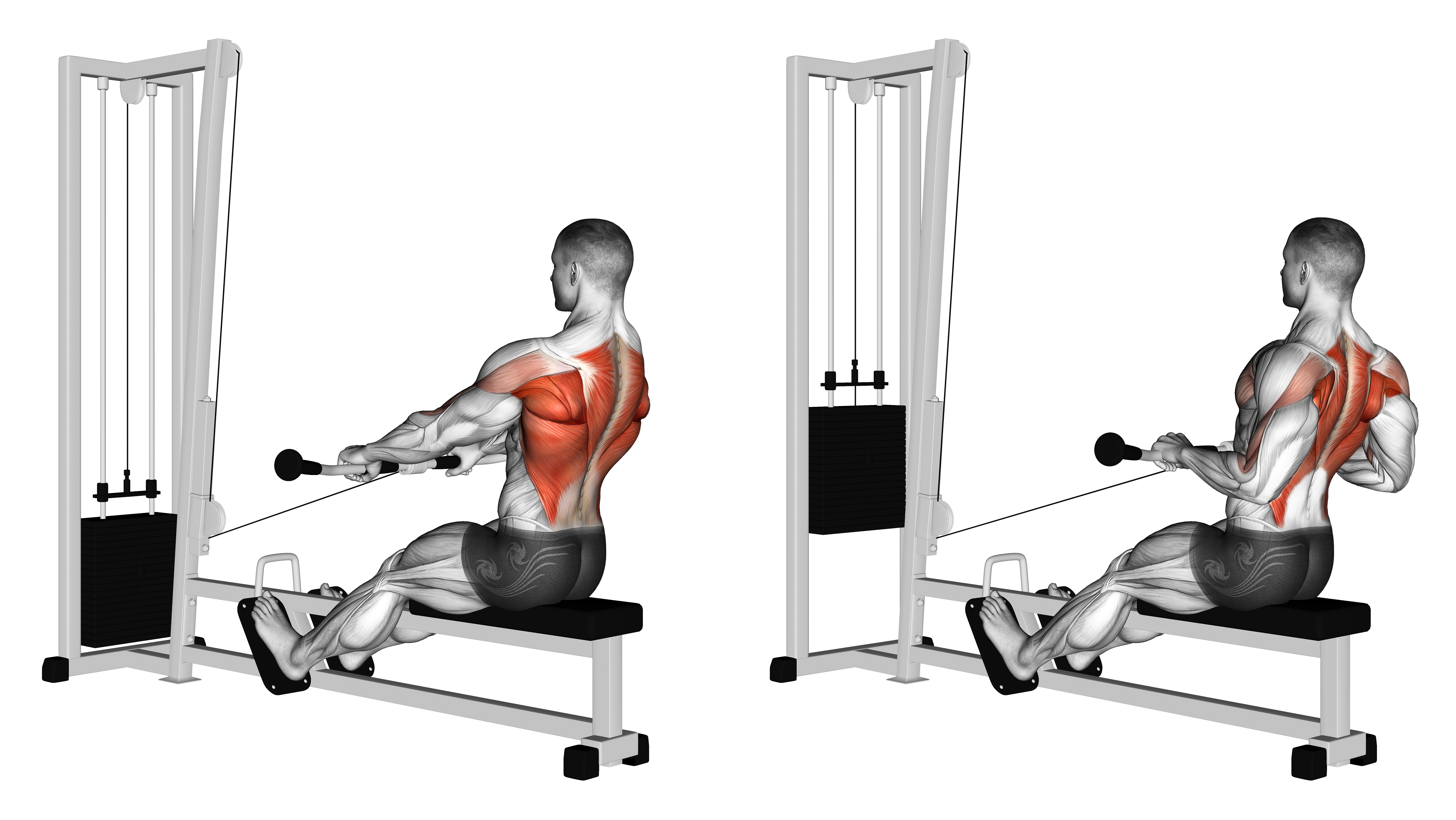 Cable Low Seated Row