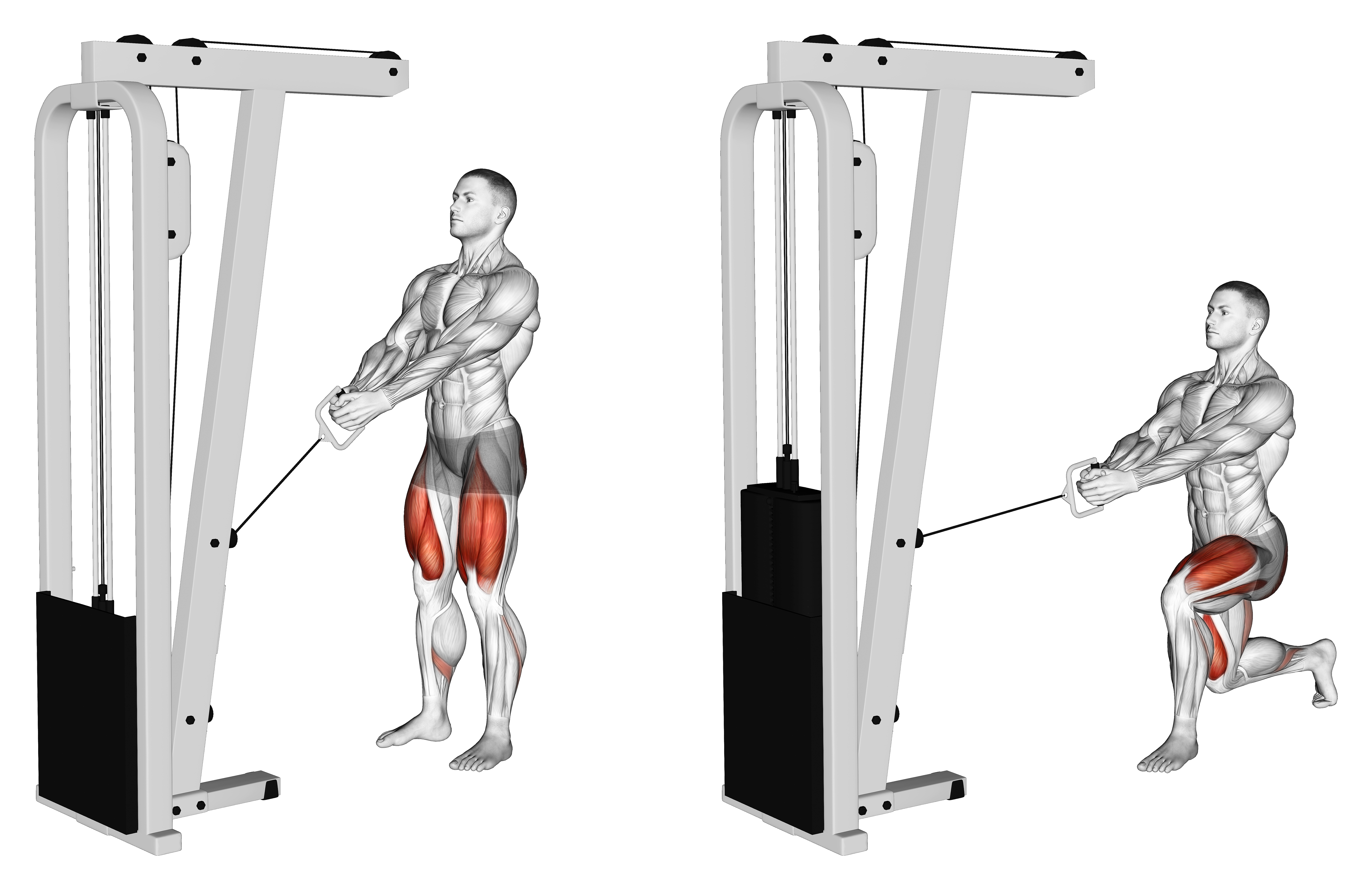 Cable Lunge