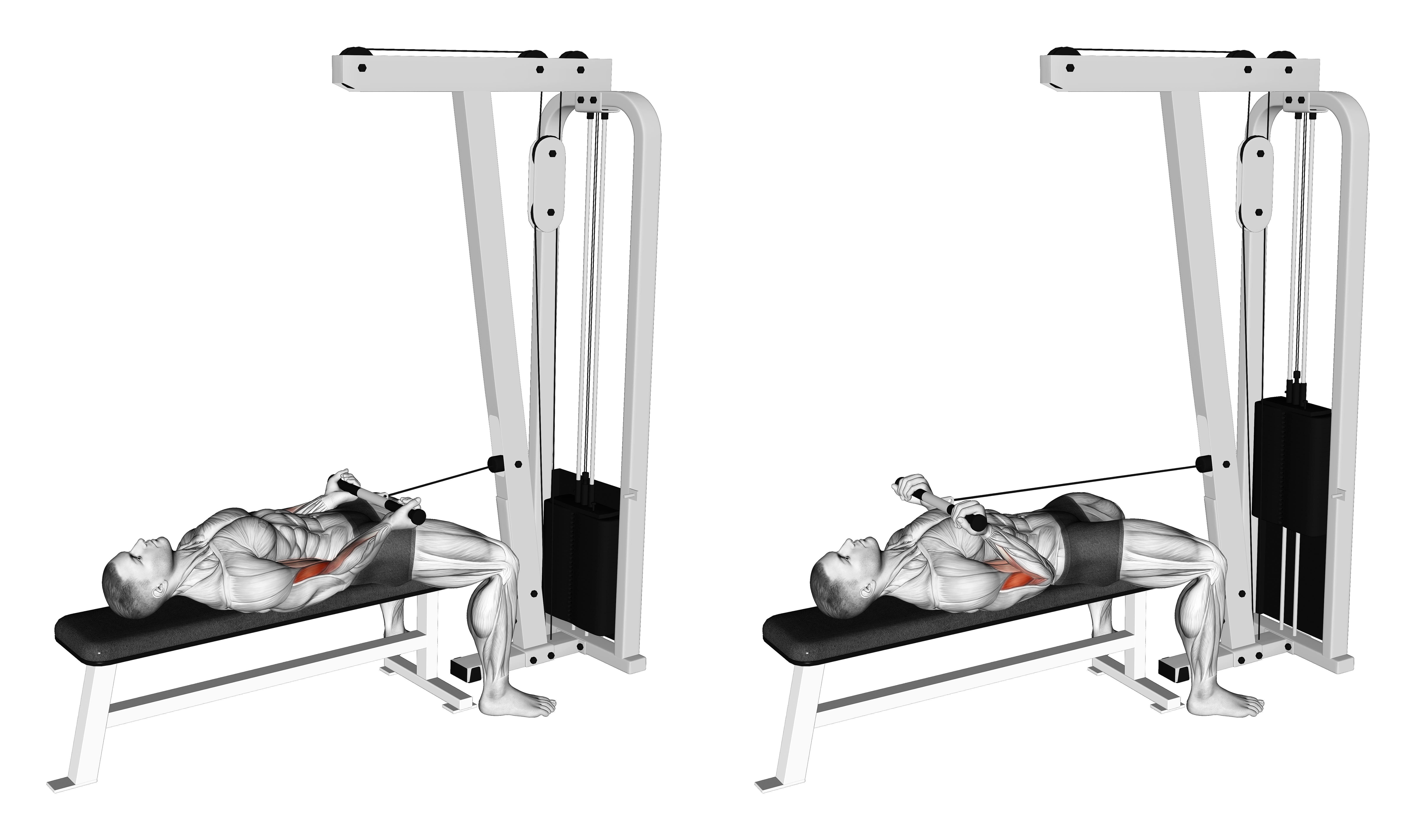Cable Lying Bicep Curl