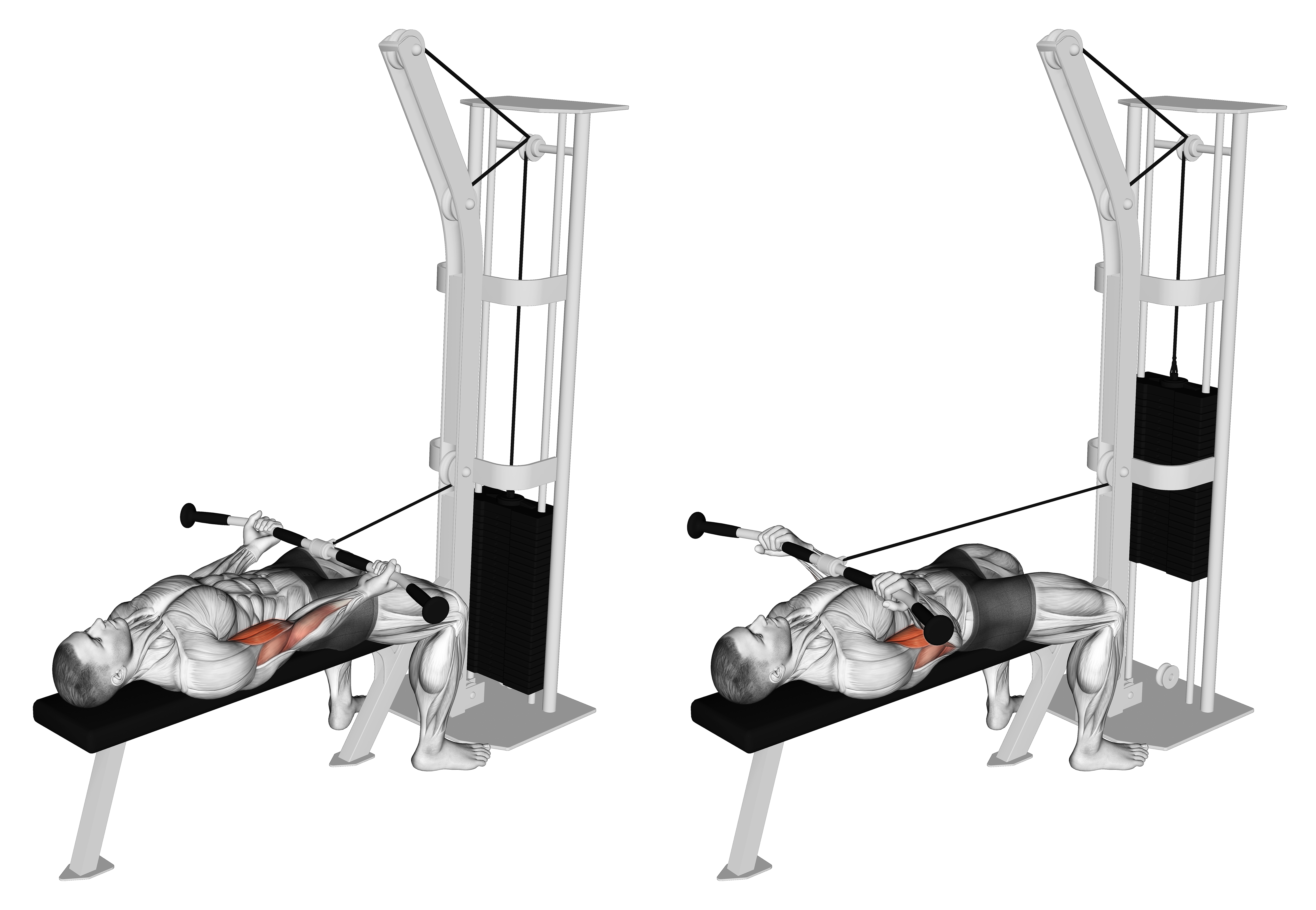 Cable Lying Biceps Curl (version 2)