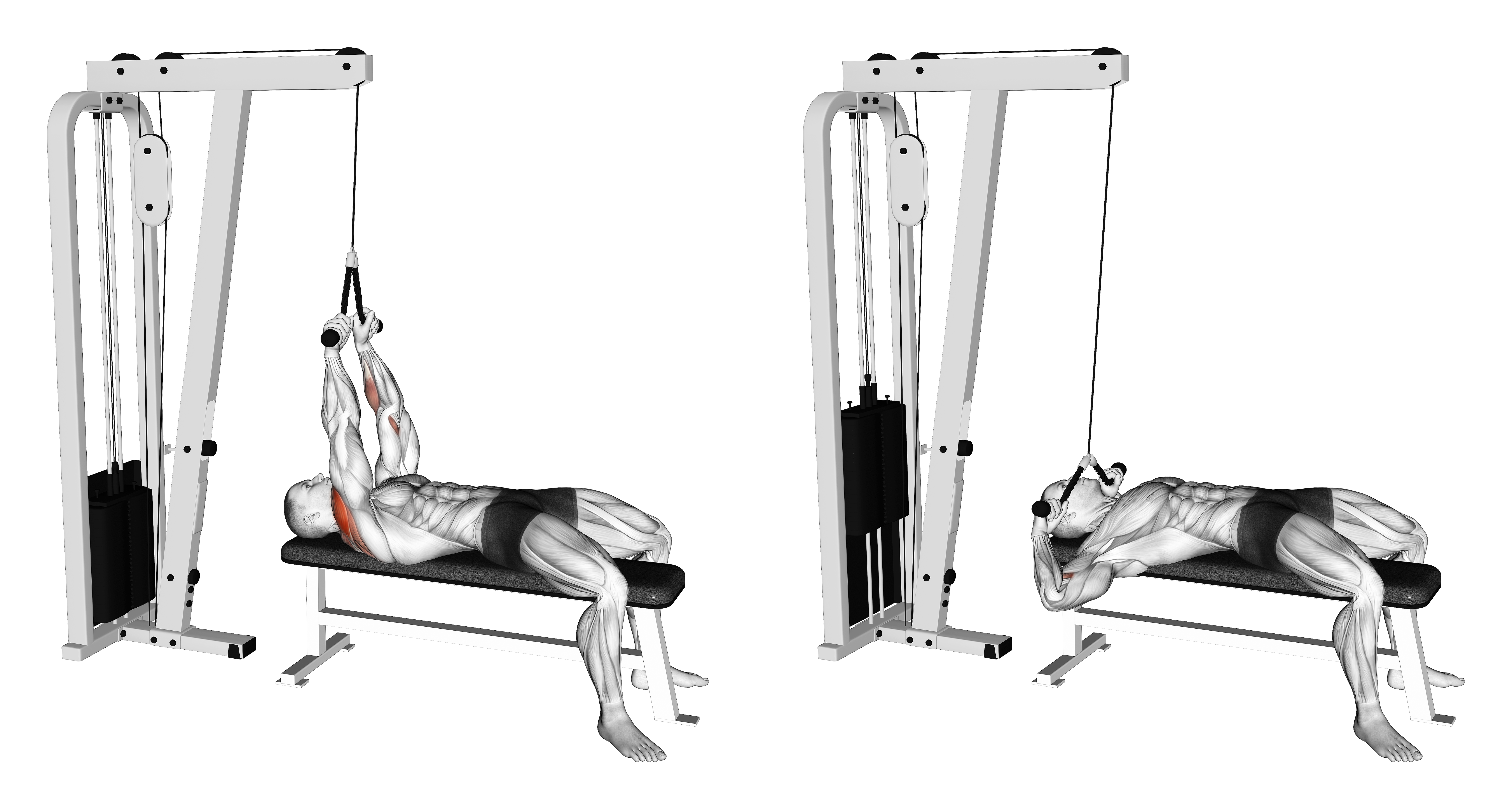 Cable Lying Face Pull