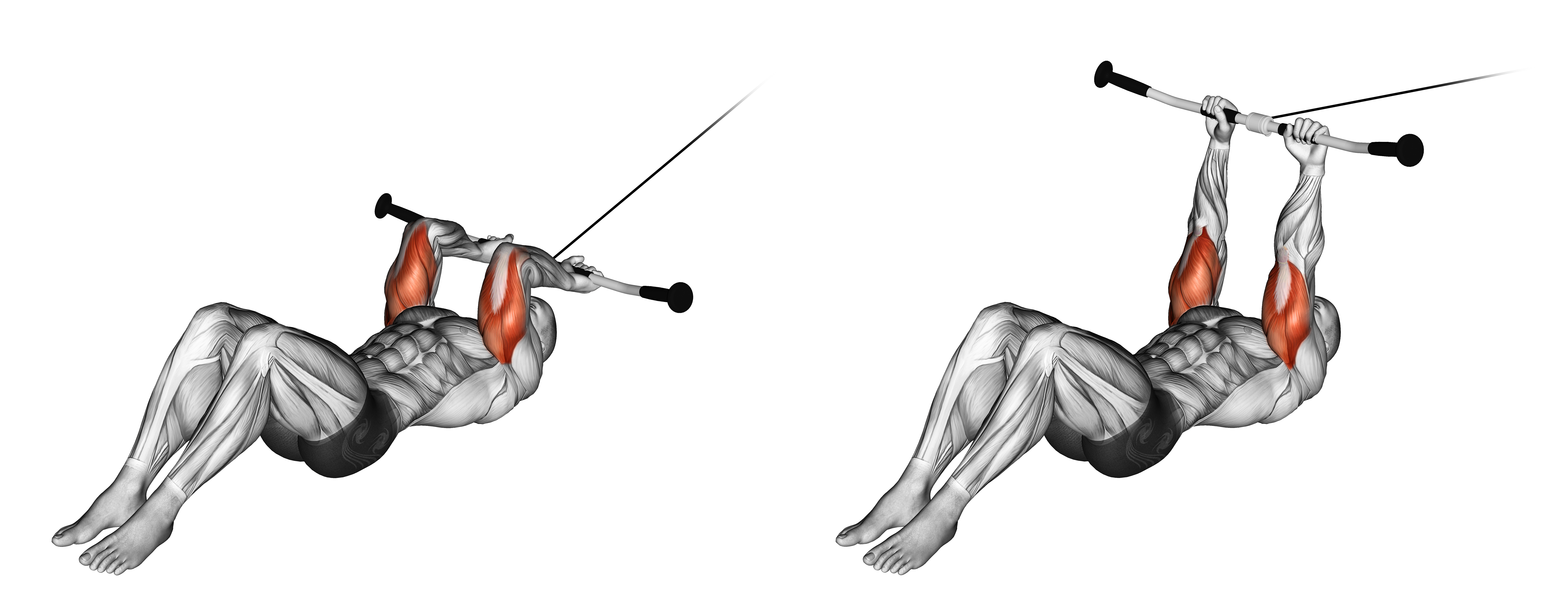 Cable Lying Triceps Extension V2