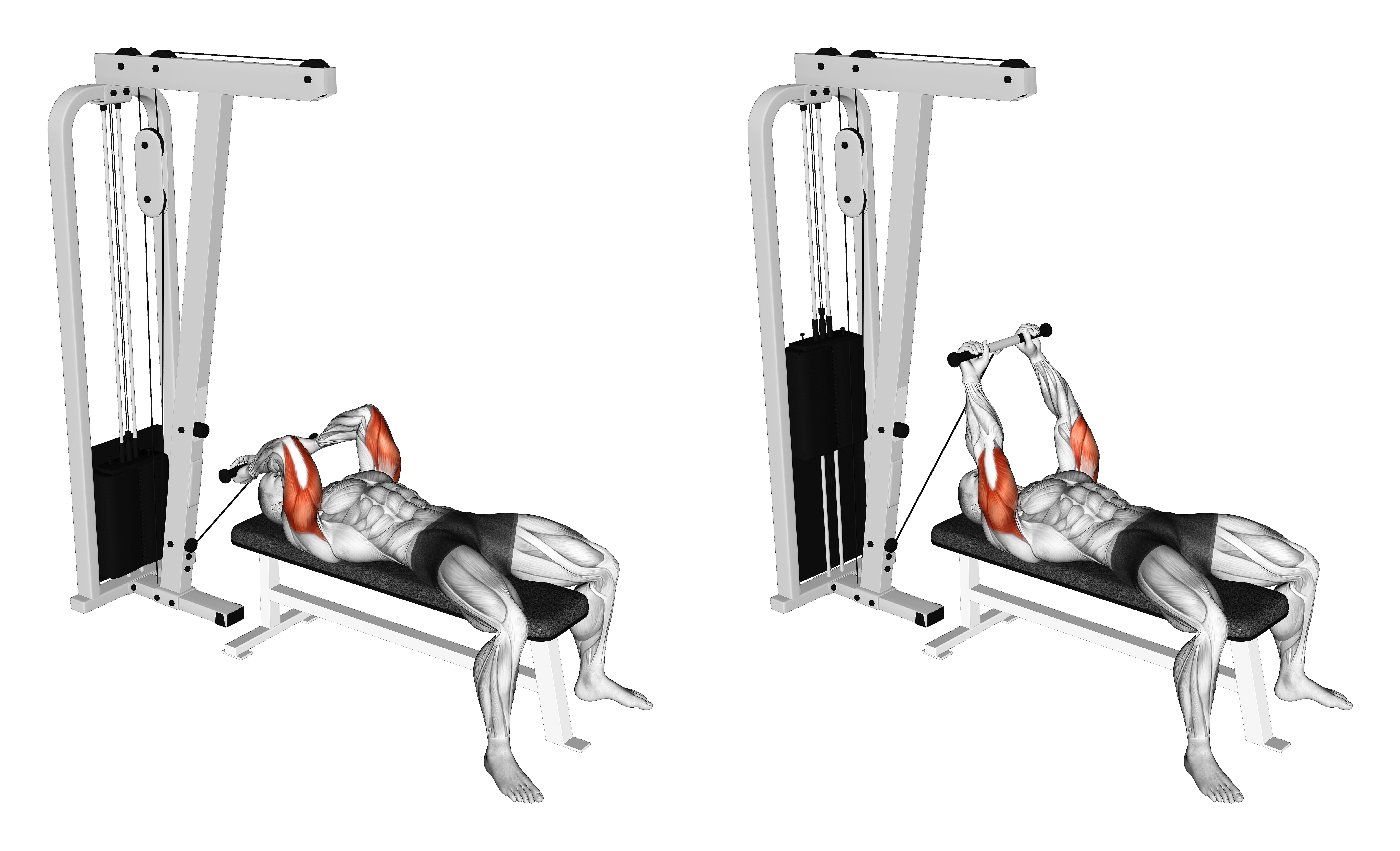 Cable Lying Triceps Extension (low)