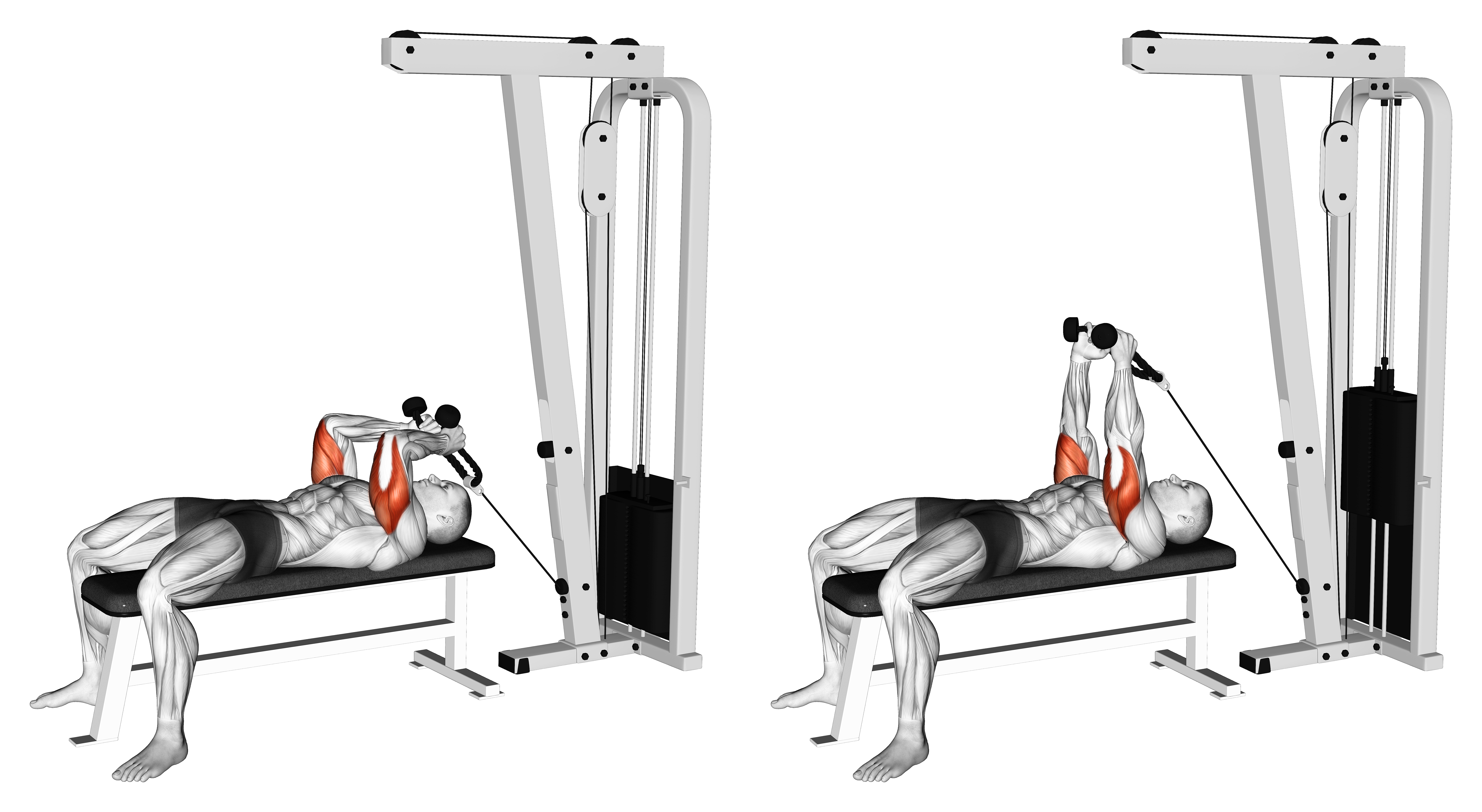 Cable Lying Triceps Extension (with Rope)